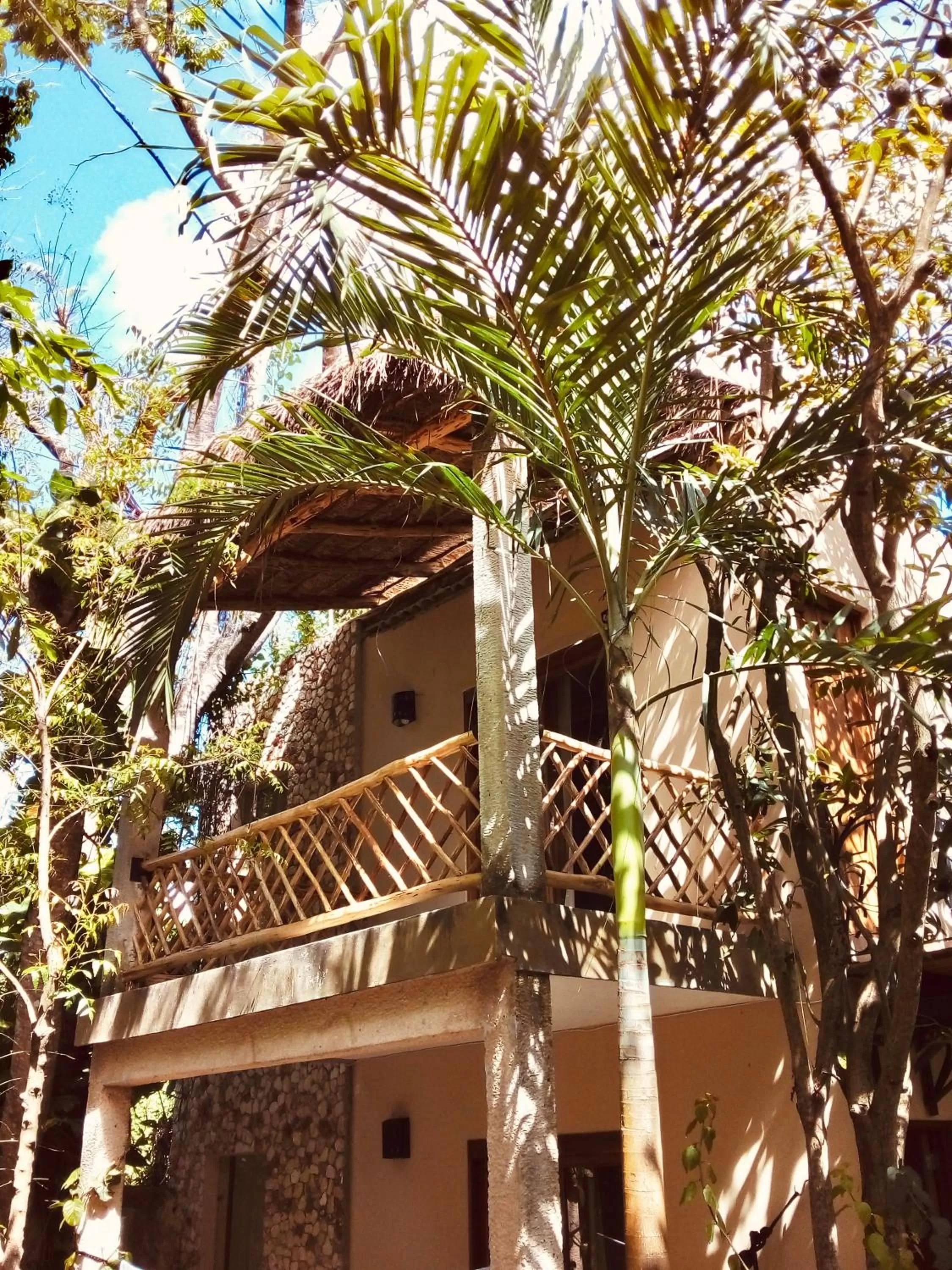 Garden view in Hotel Boutique Refugio 41