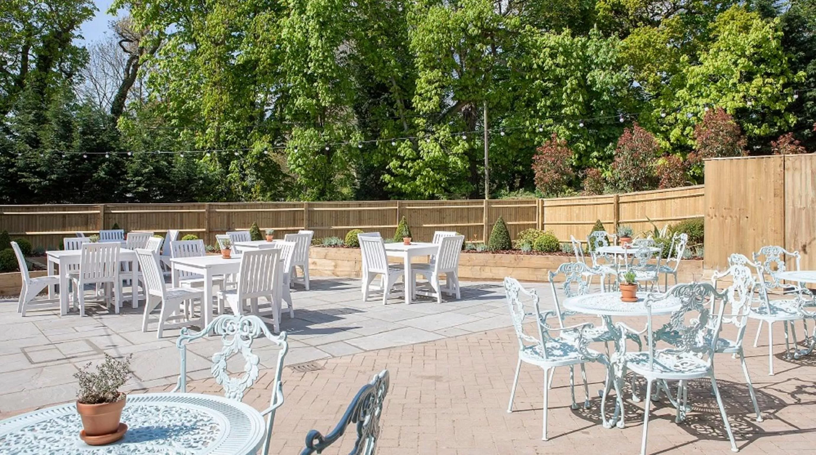 Patio in The Bird In Hand