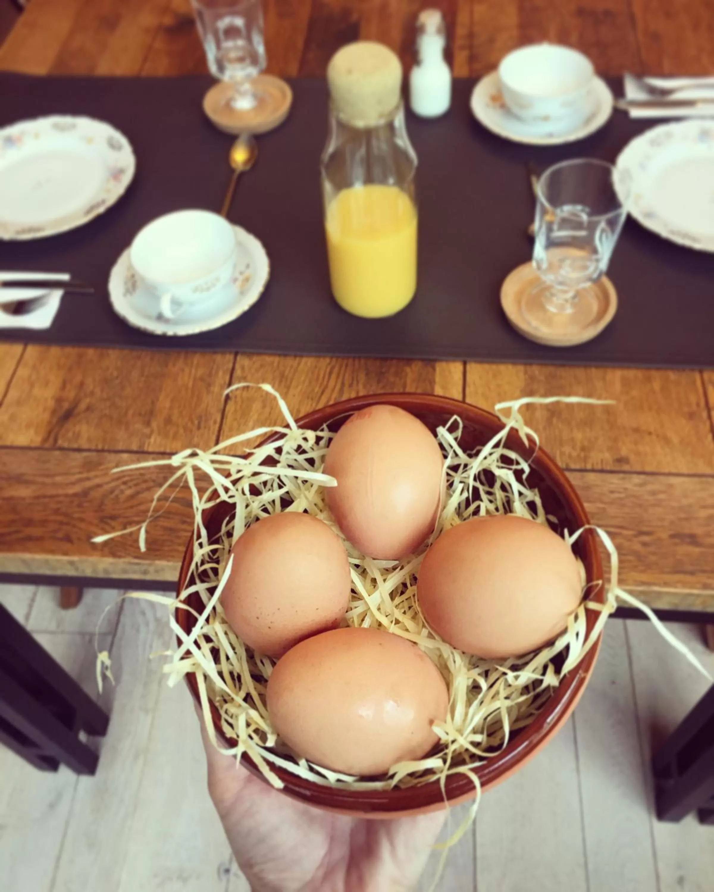 Breakfast in Domus Portus