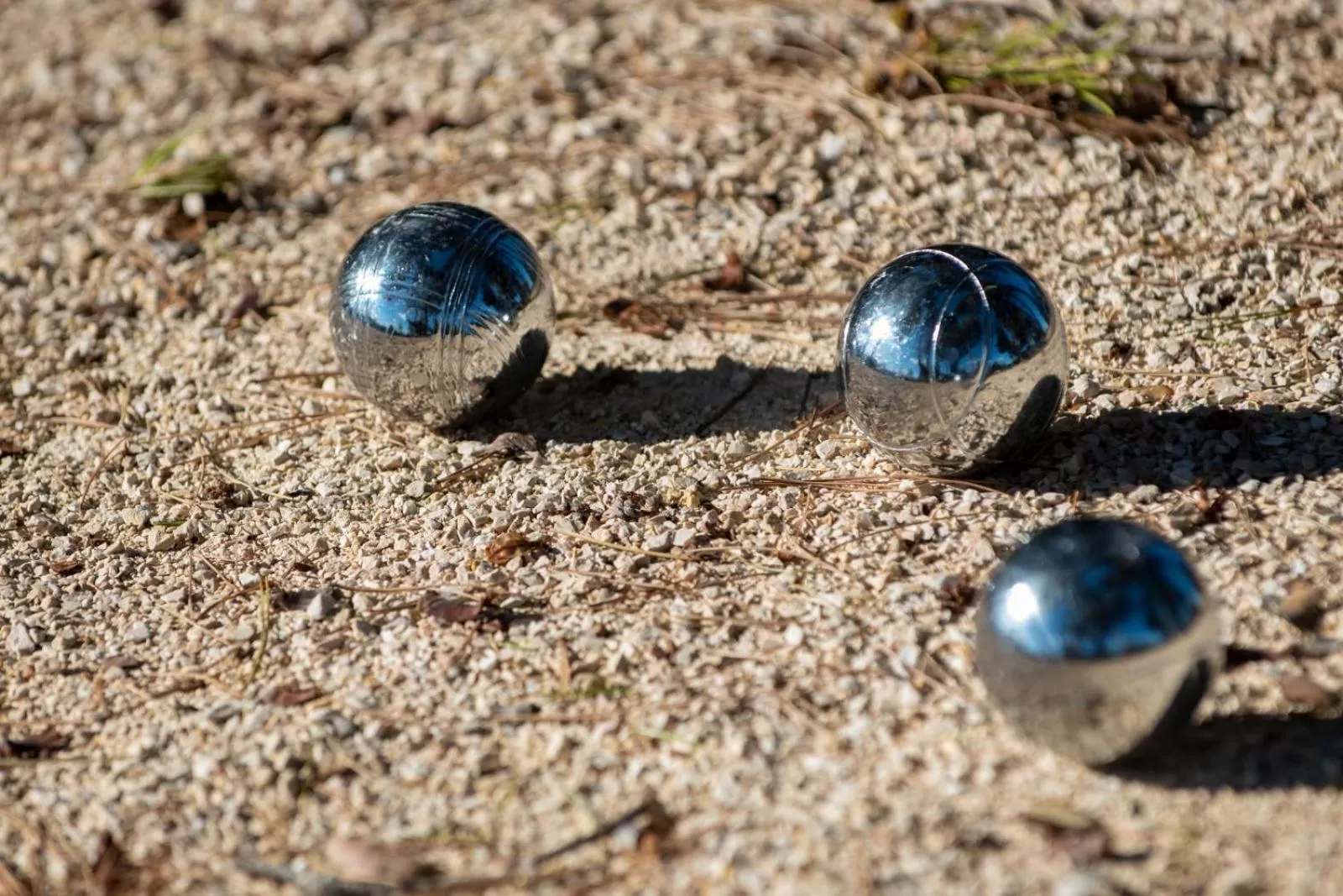 Activities in Domaine la Pierre Blanche