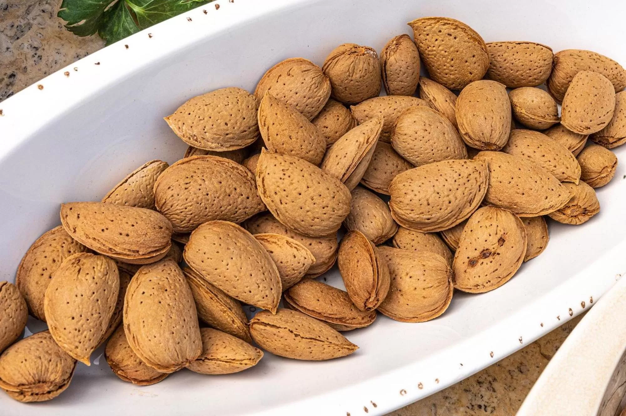 Comfort Stay Athens Airport Hotel - FREE shuttle from and to the airport