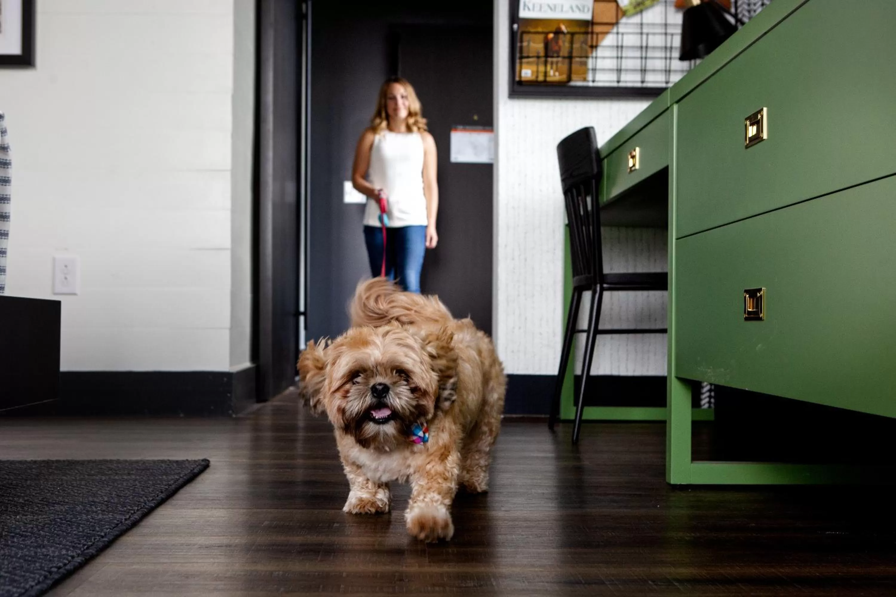 Pets in Origin Lexington, a Wyndham Hotel