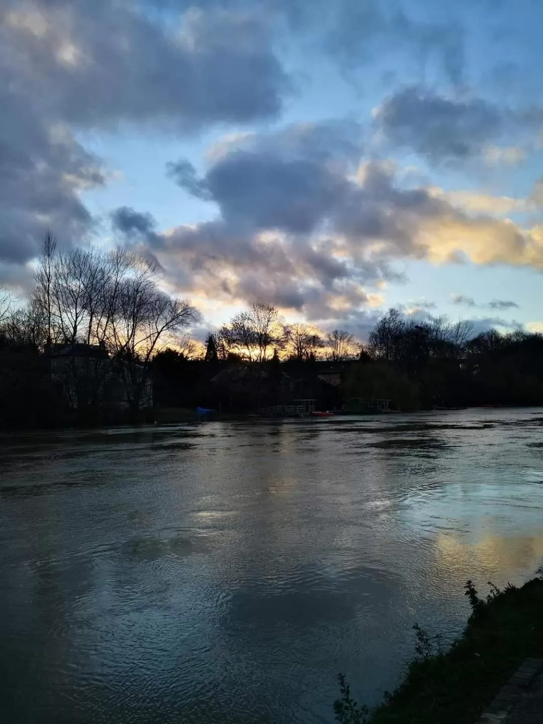 LES PINGOUINS DE LA MARNE
