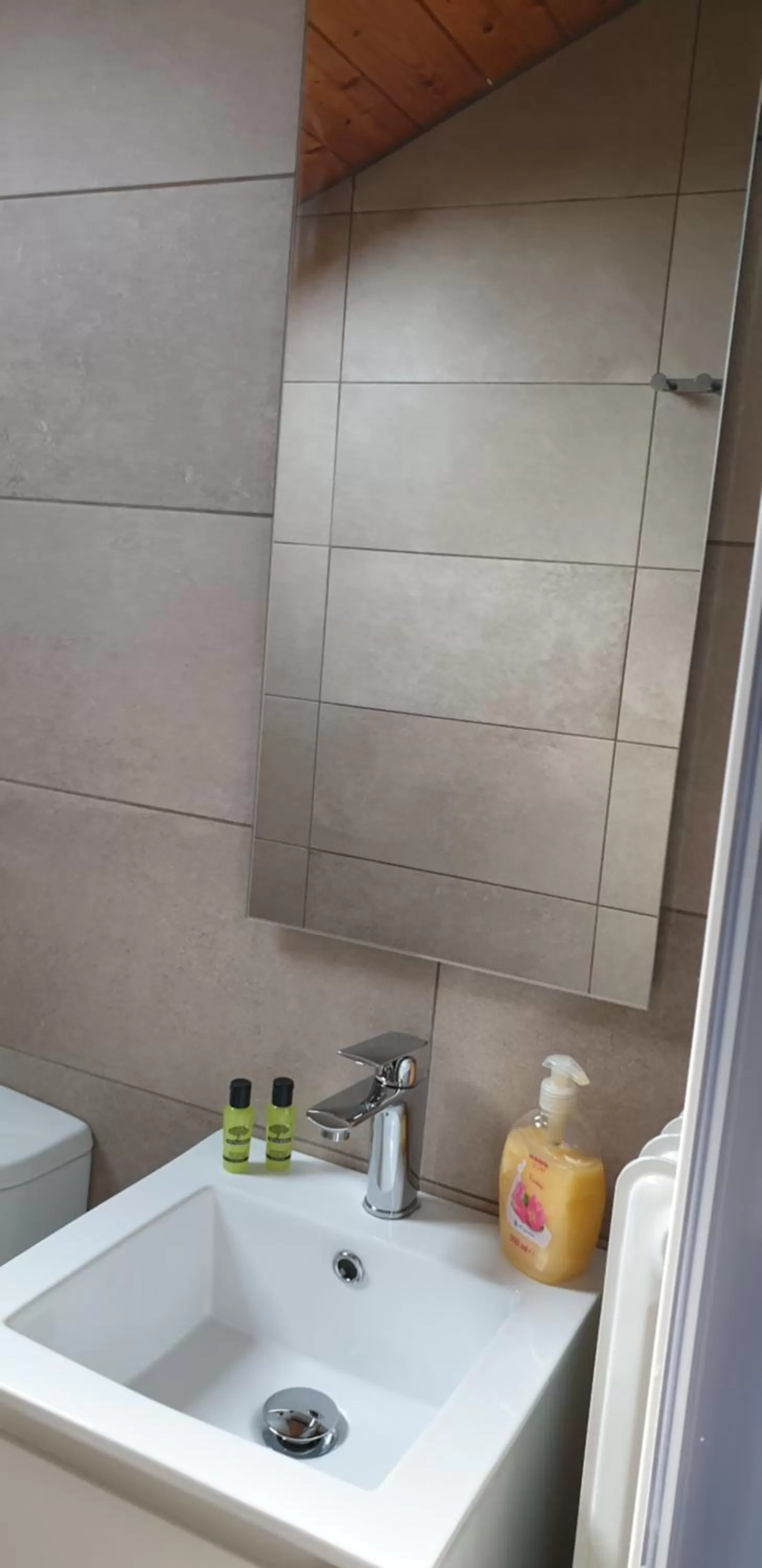 Shower in Alexia's Apartments