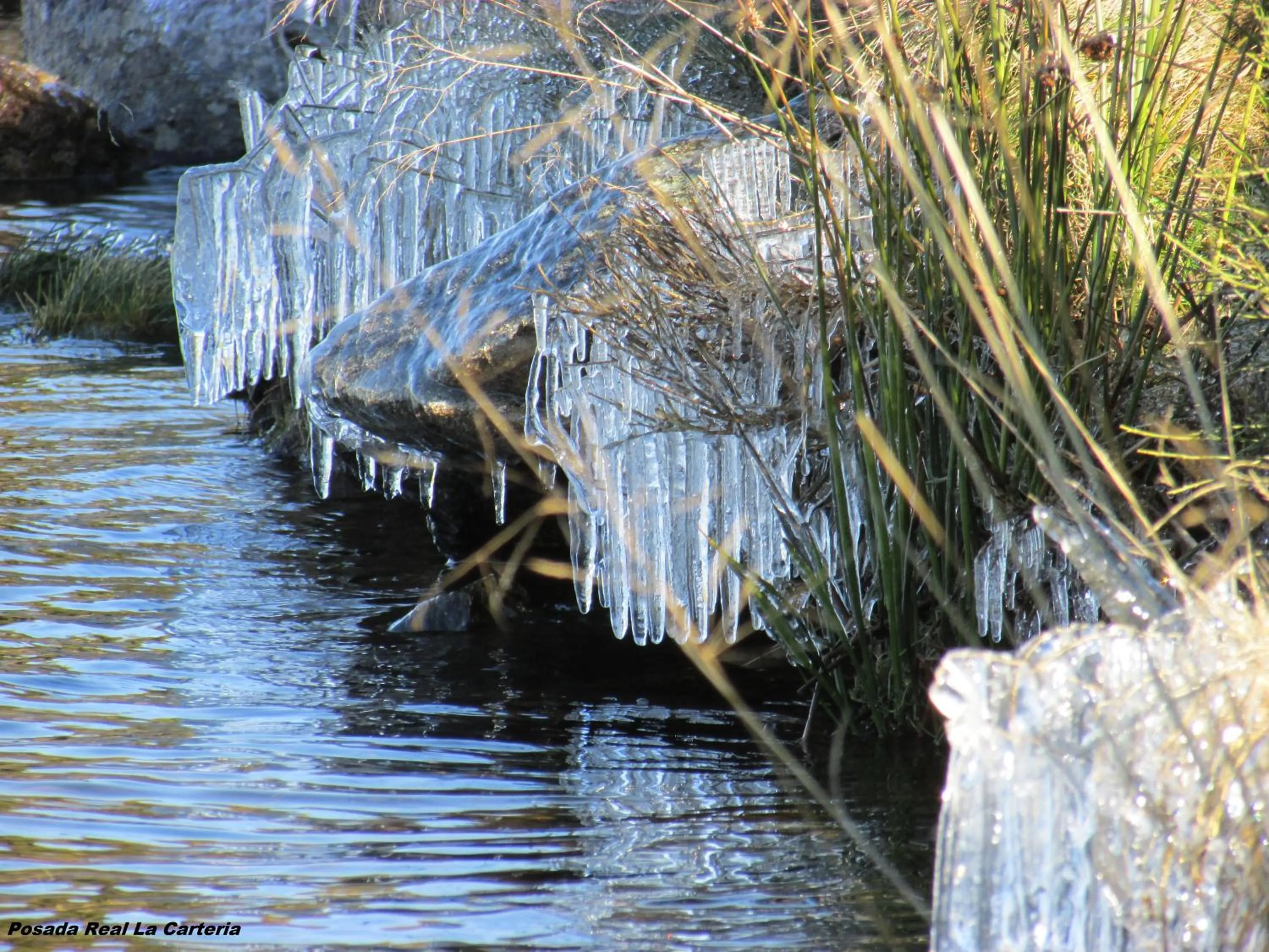Area and facilities in Posada Real La Carteria