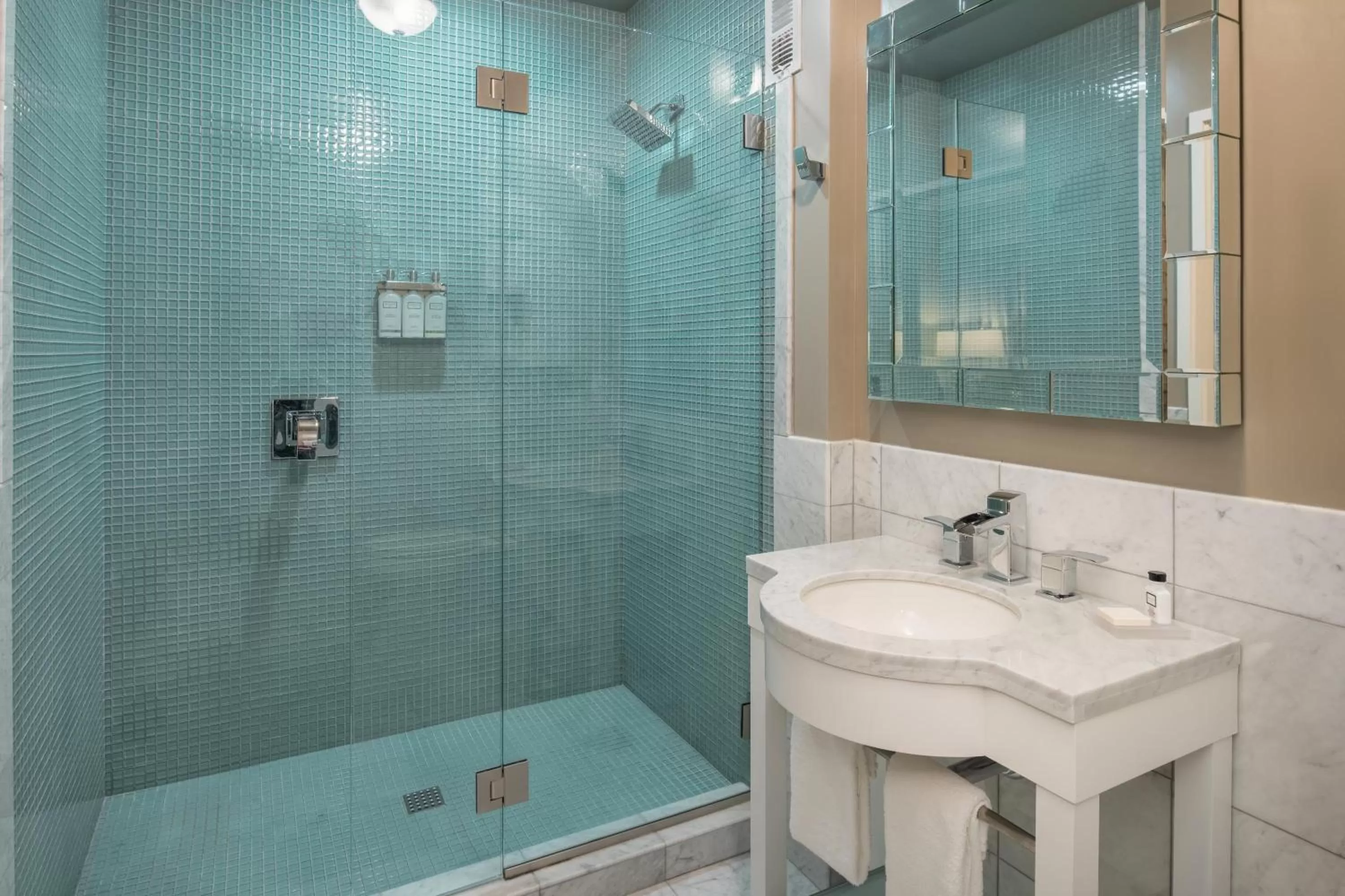 Shower in The Mark Spencer Hotel