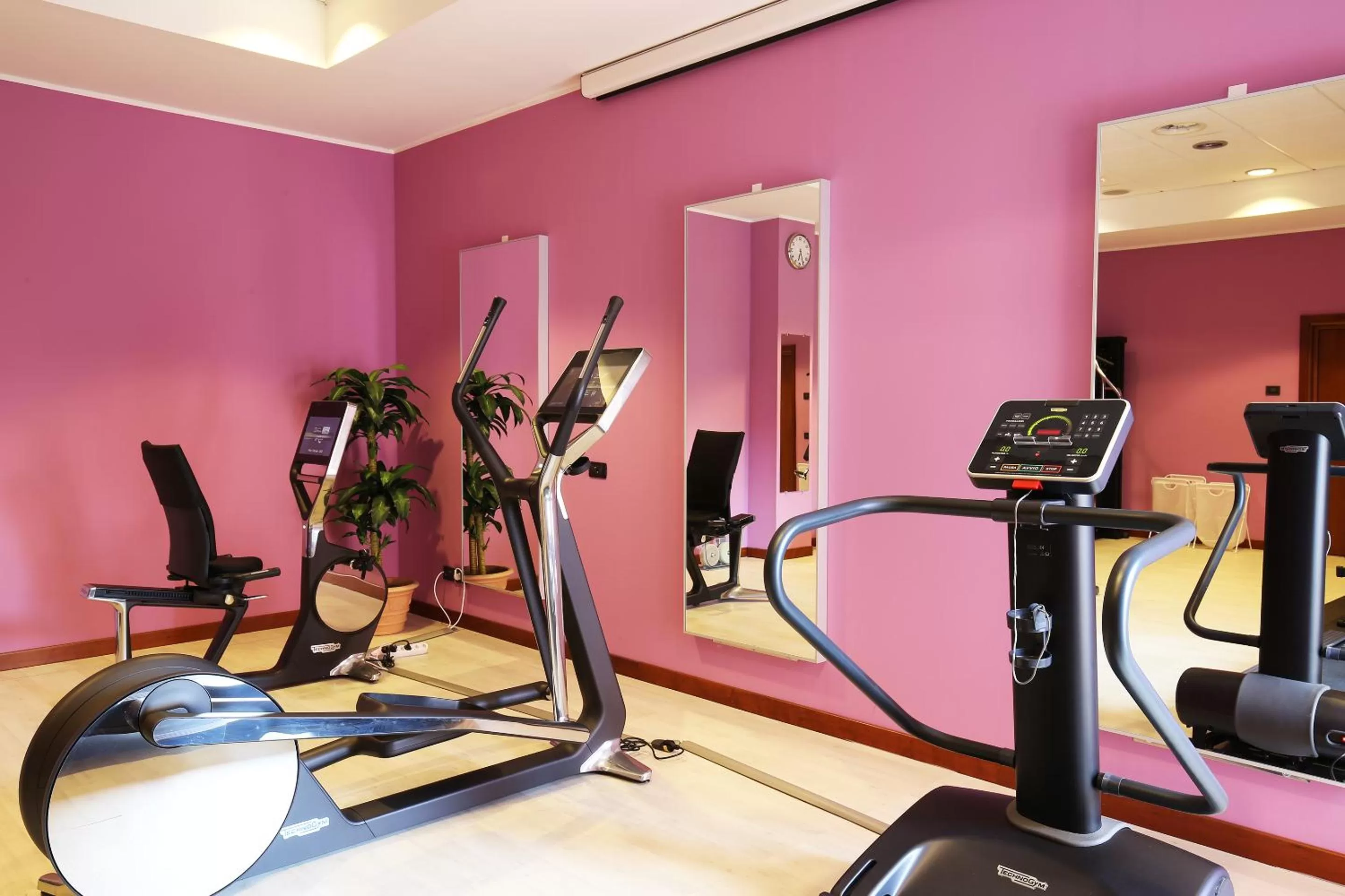 Fitness centre/facilities in Mercure Genova San Biagio