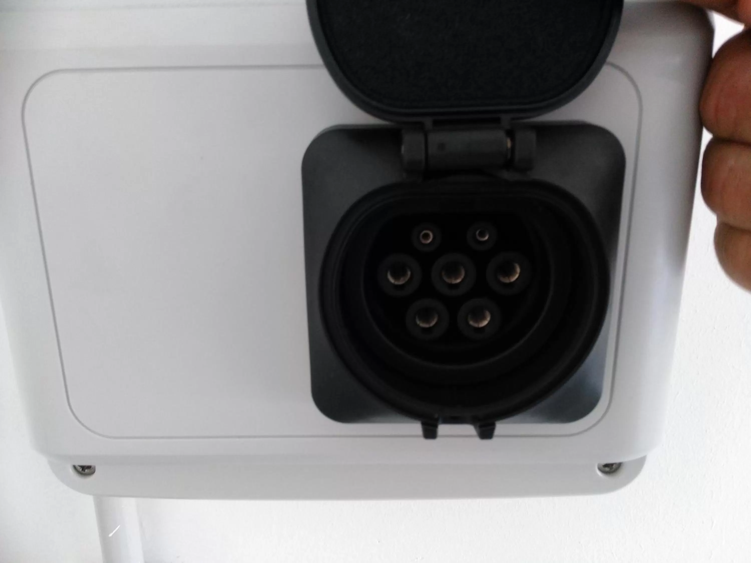 Other in Motel Acropolis