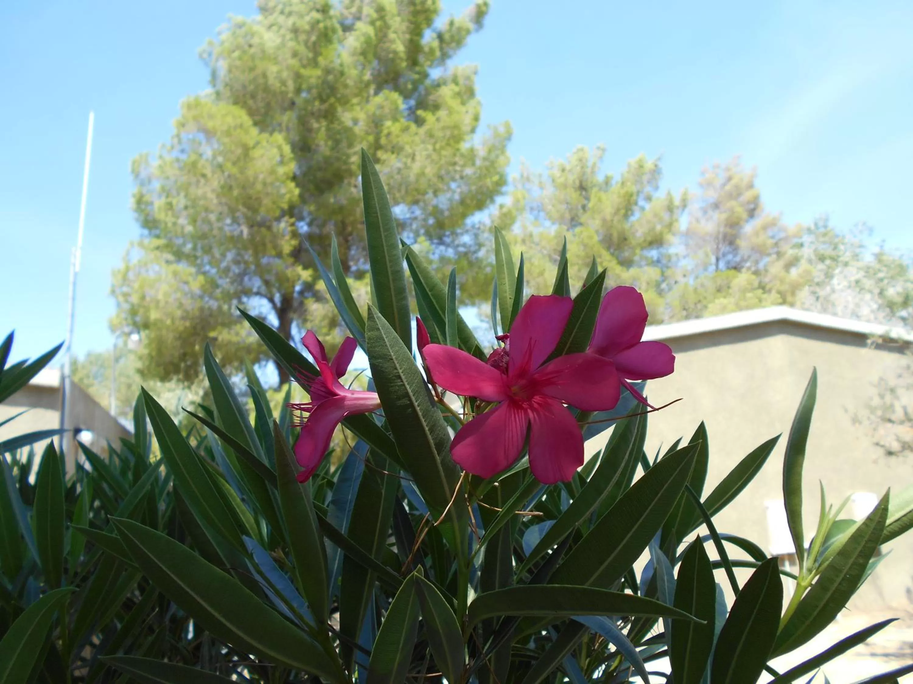 Other in Atomic Inn Beatty Near Death Valley