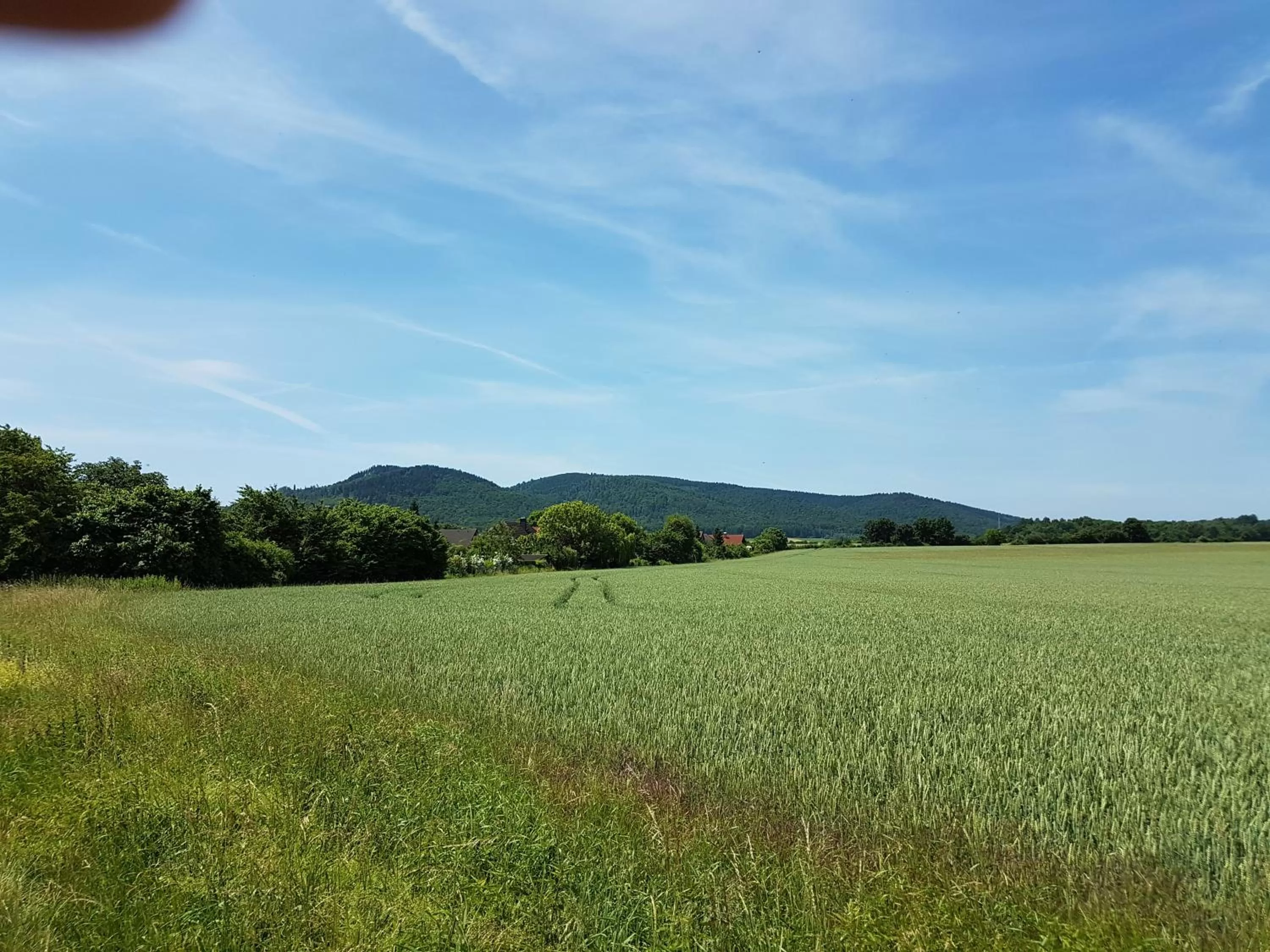 Natural landscape in La Fontana