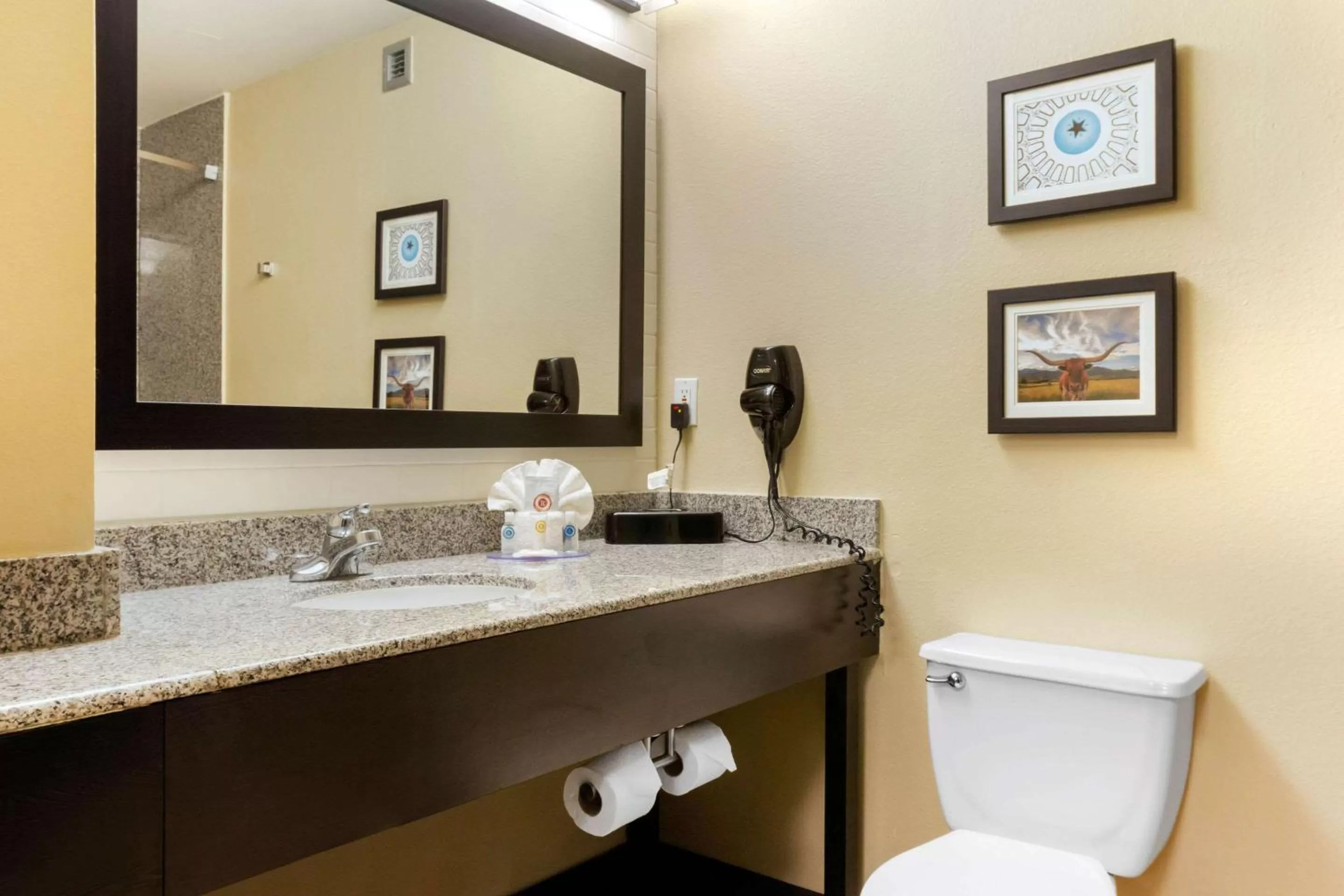 Bathroom in Comfort Inn & Suites Amarillo East