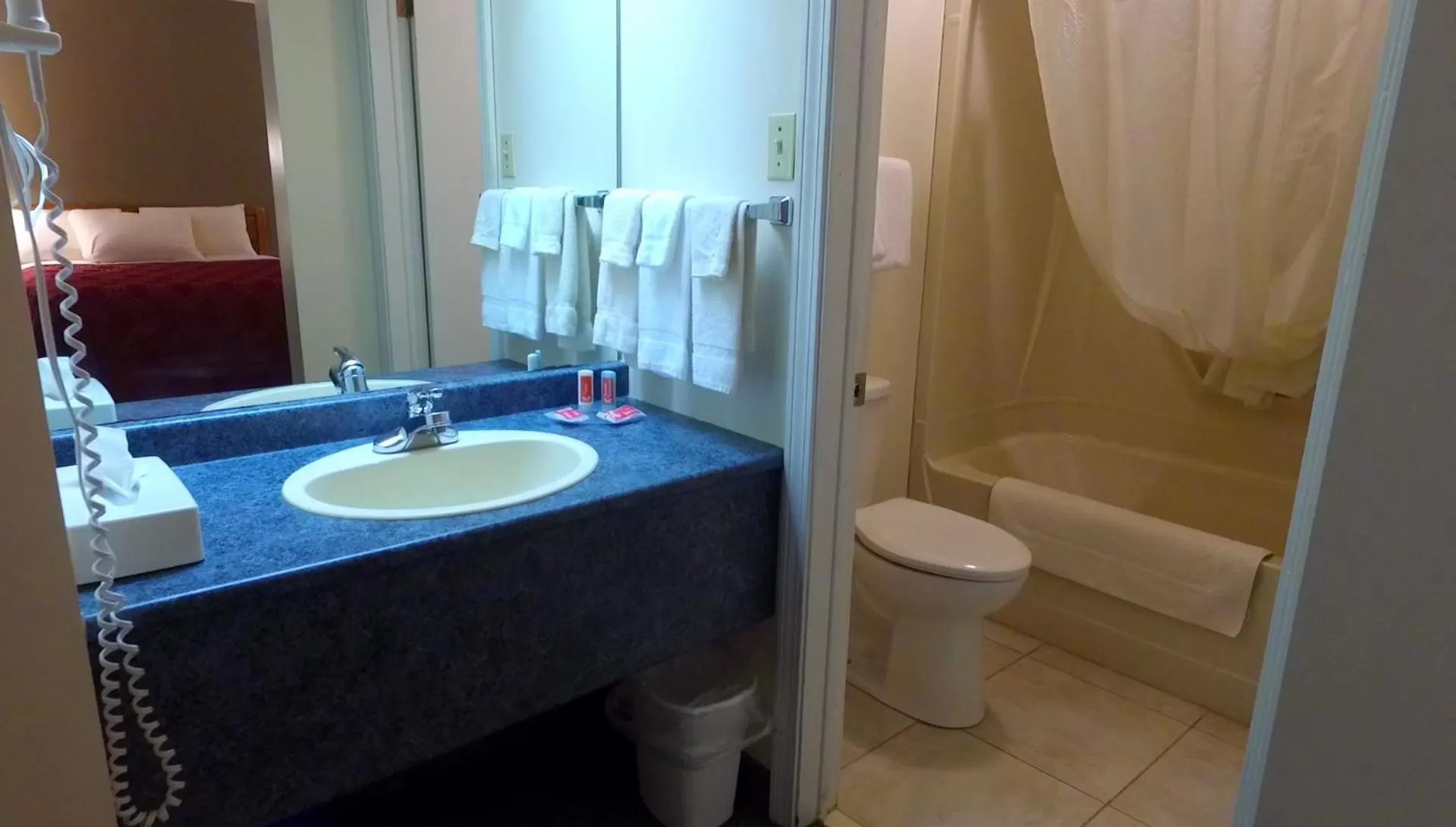 Bathroom in Econo Lodge Inn & Suites