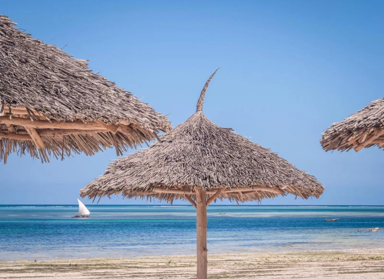 Beach in Kiwengwa Beach Resort