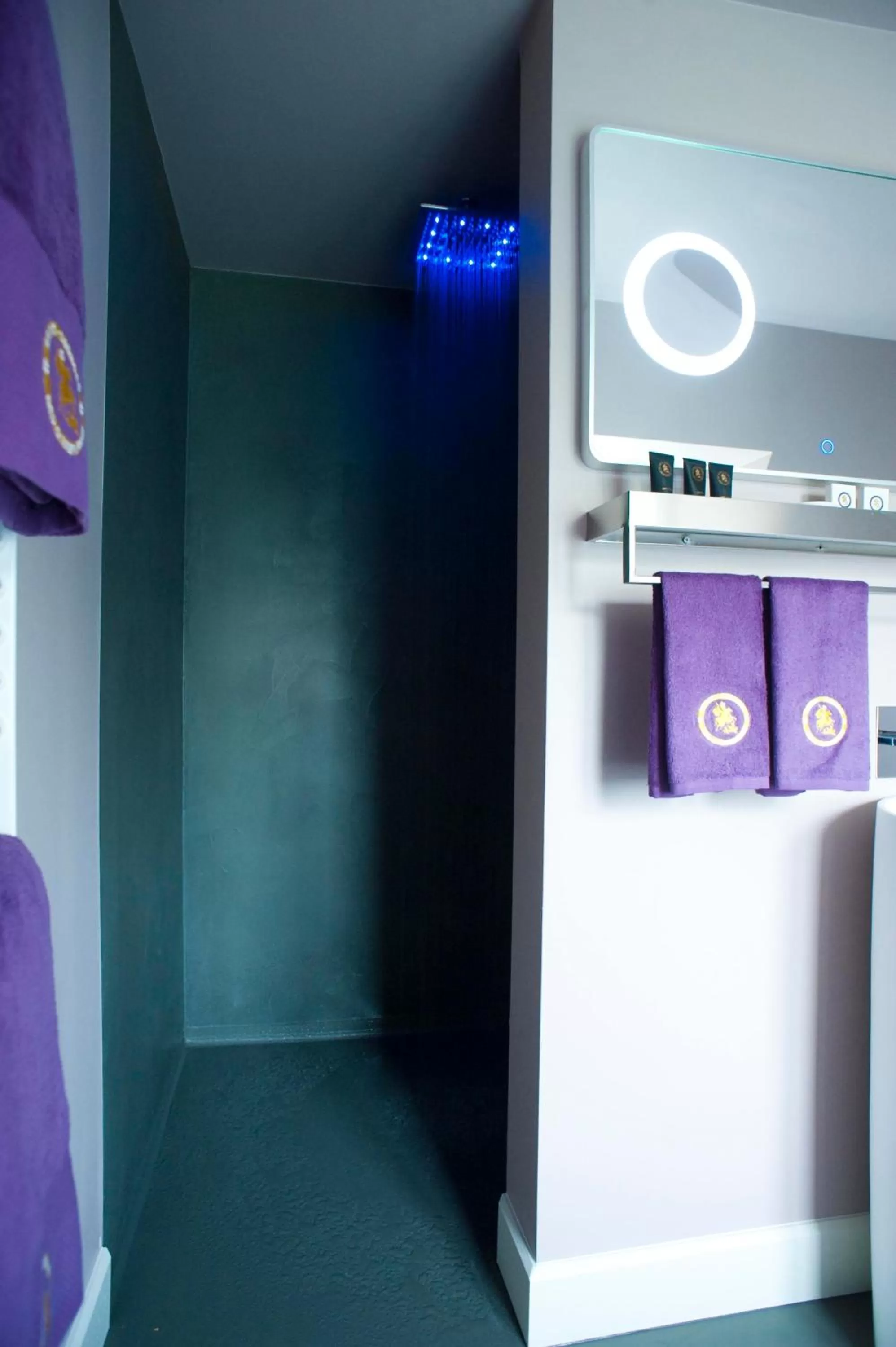 Bathroom in B&B Saint-Georges -Located in the city centre of Bruges-