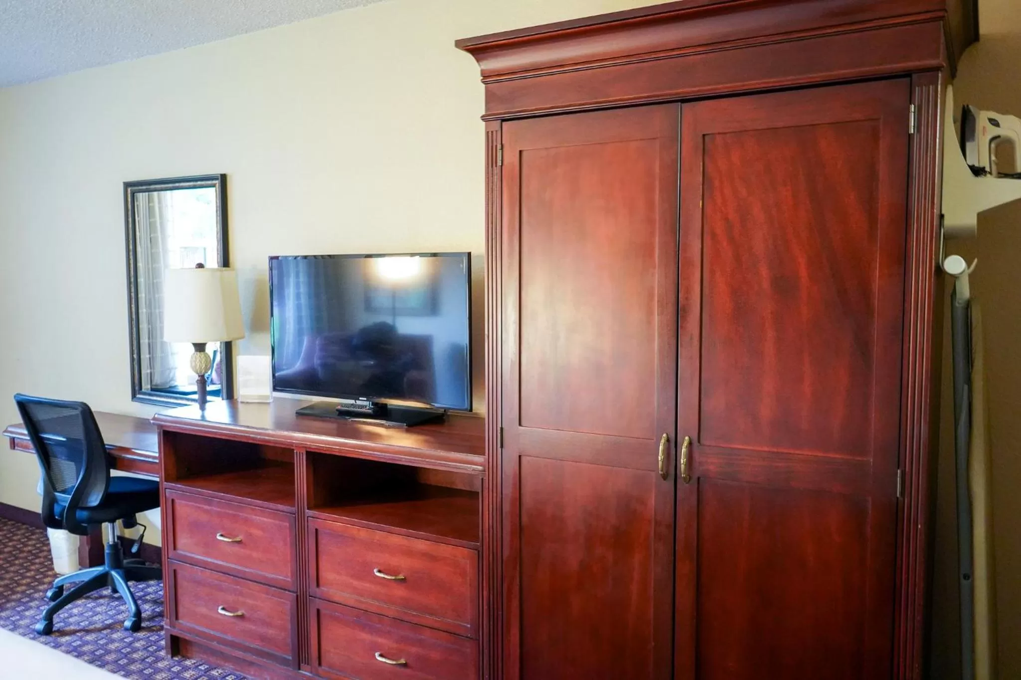 TV and multimedia in Rosen Inn International Near The Parks
