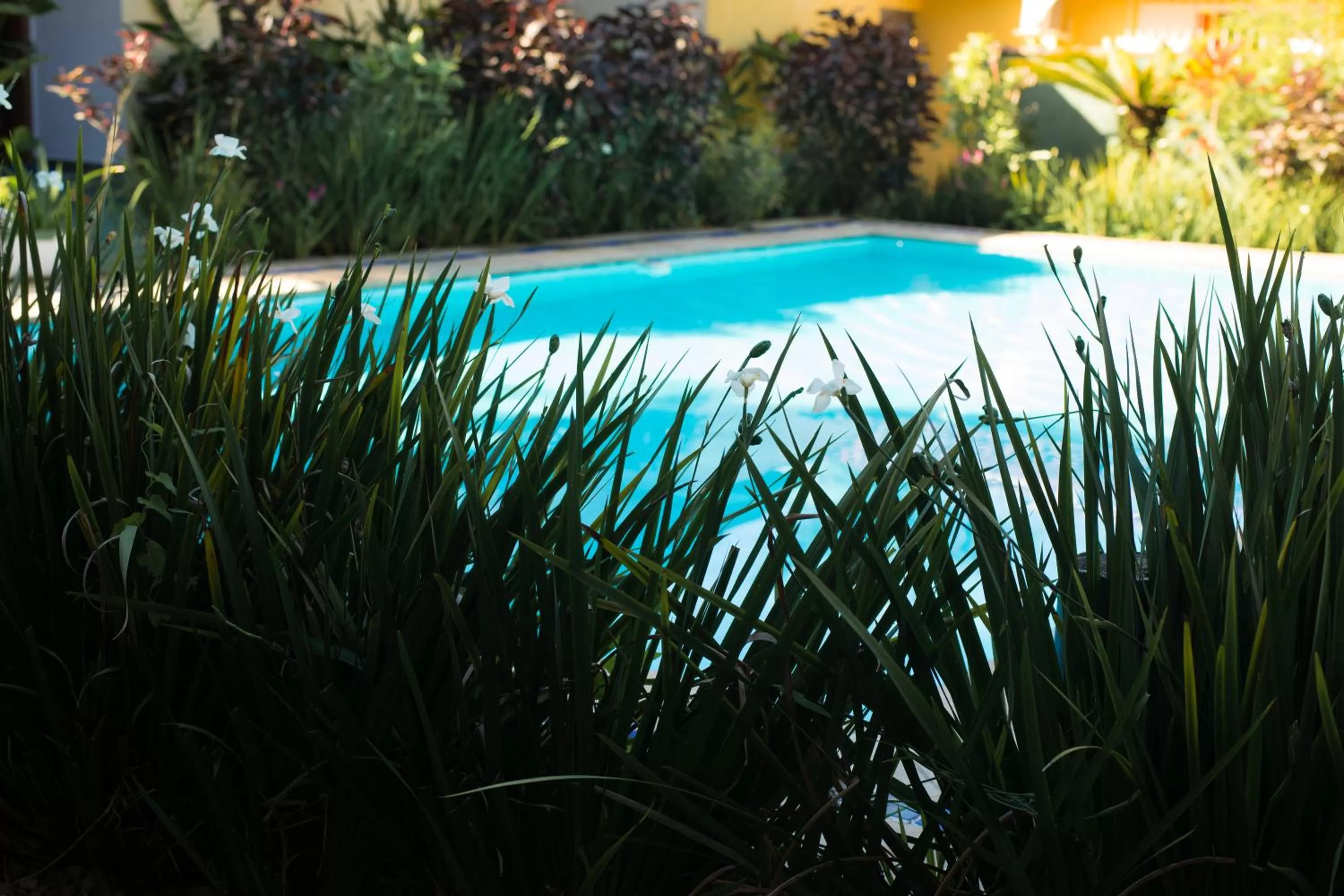 Garden in Pousada Viva Ubatuba