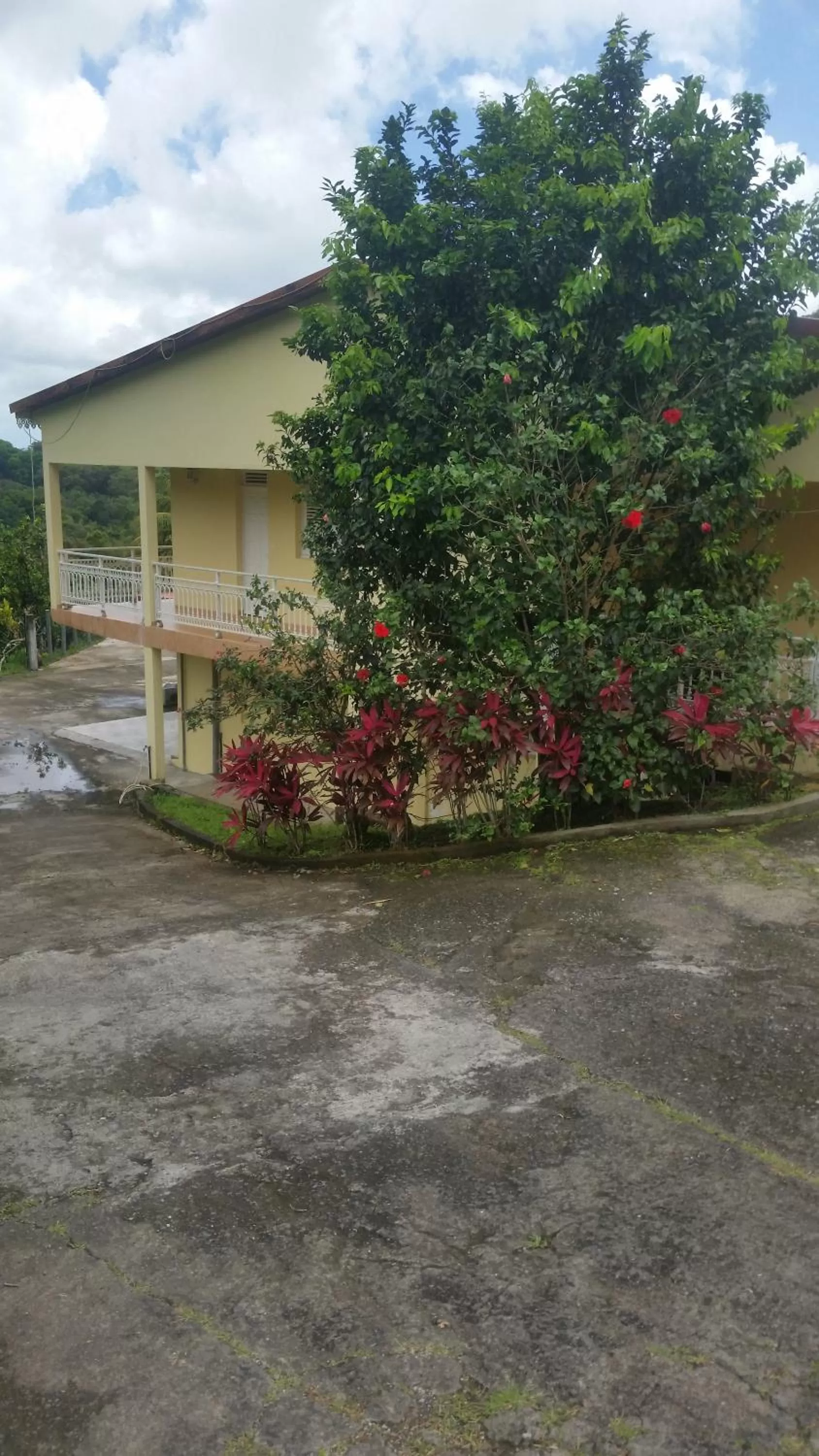 View (from property/room), Property Building in L'Oliveraie