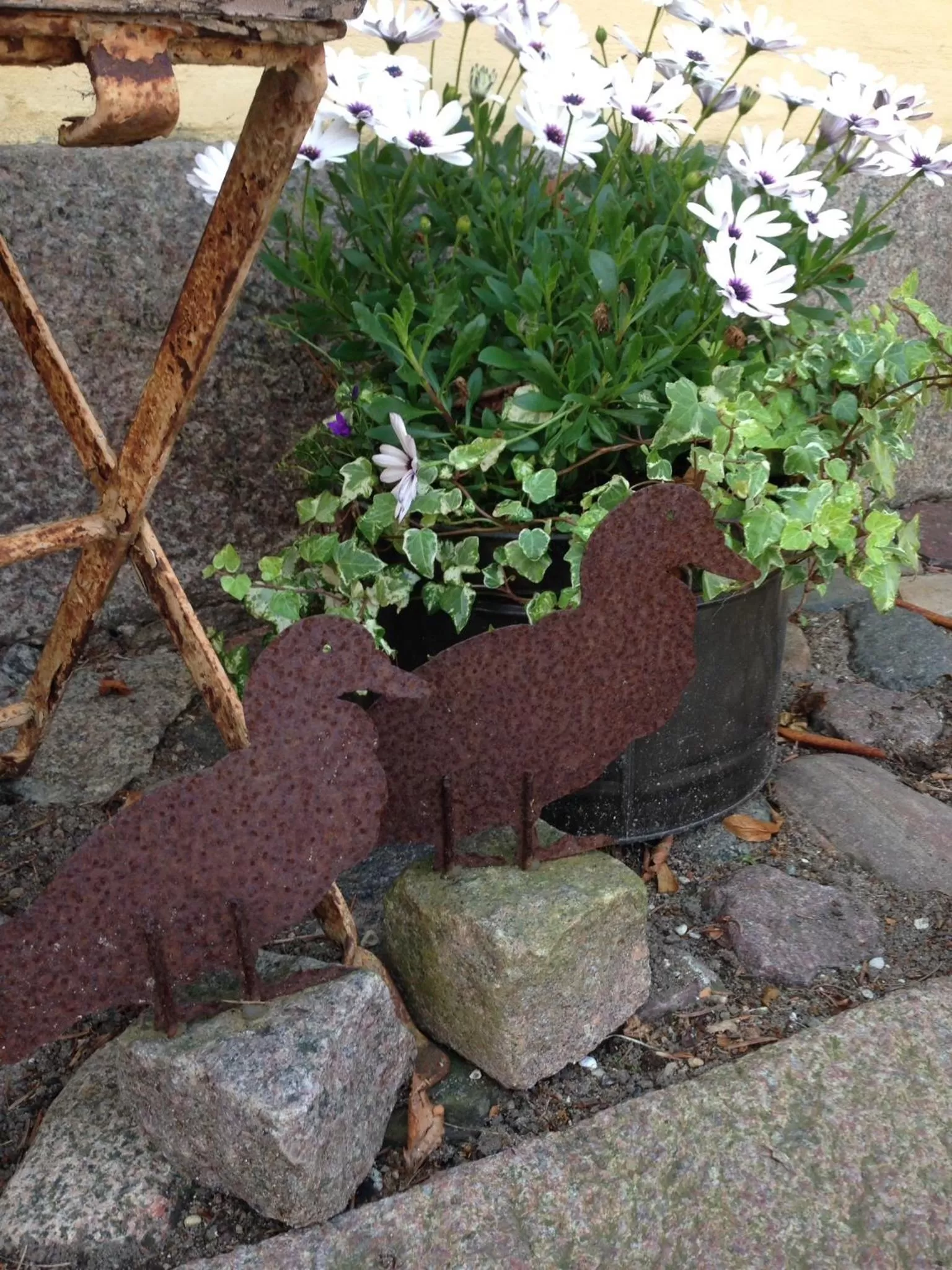 Garden in Birkende Bed and Breakfast