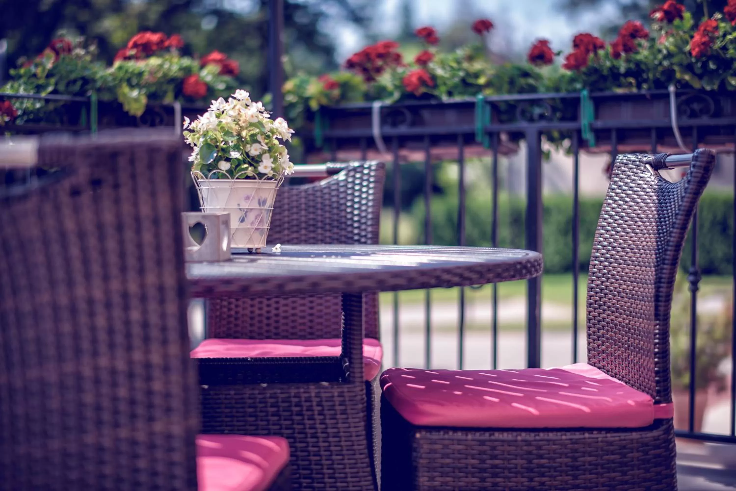 Restaurant/places to eat in Hotel Niemcza Wino & Spa