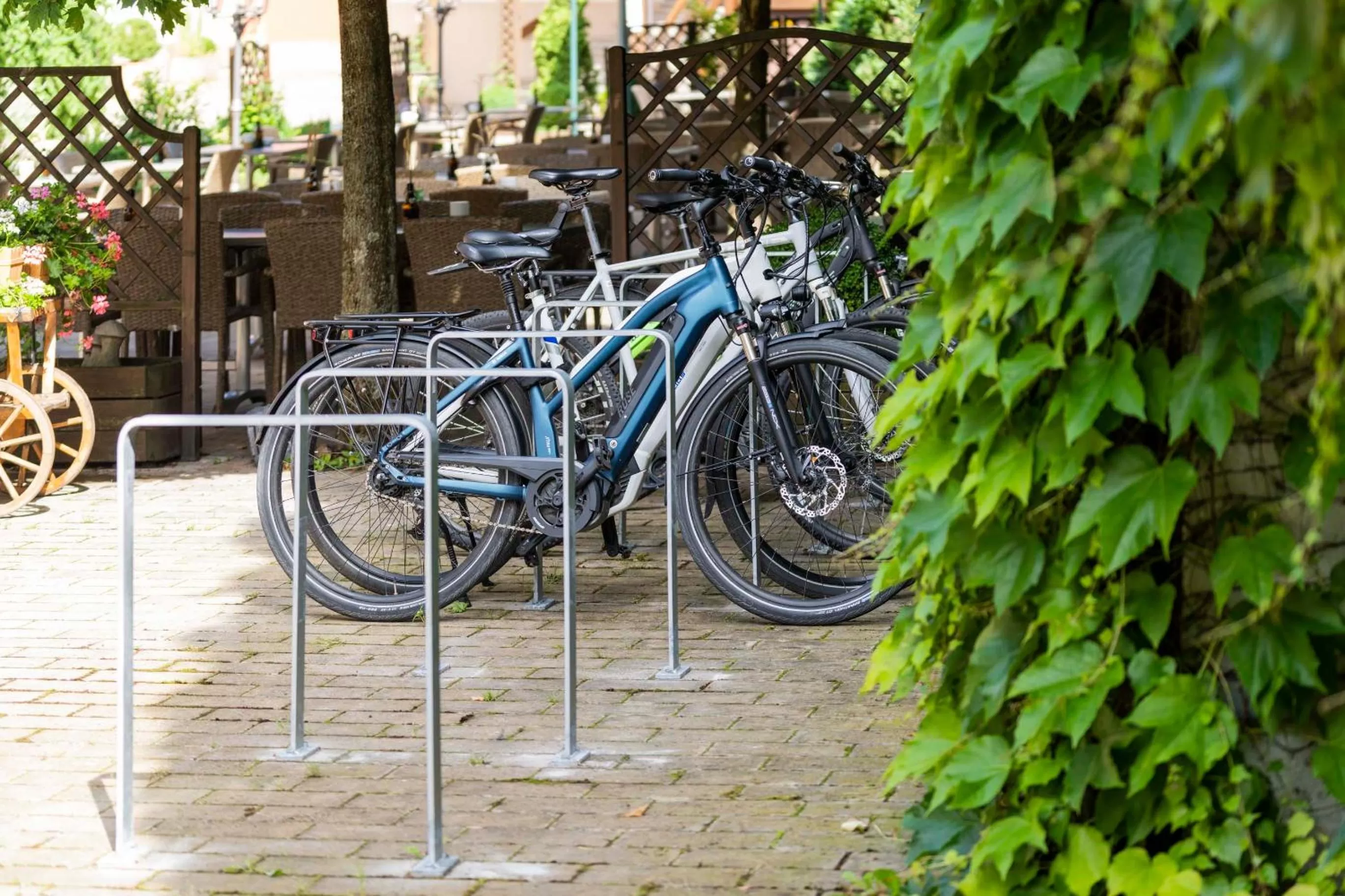 Cycling in Hotel Brauerei Gasthof Höhn