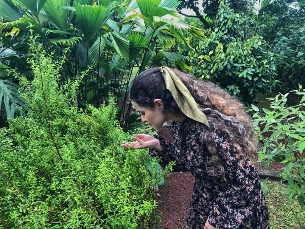 Garden in Hotel Vista del Cerro