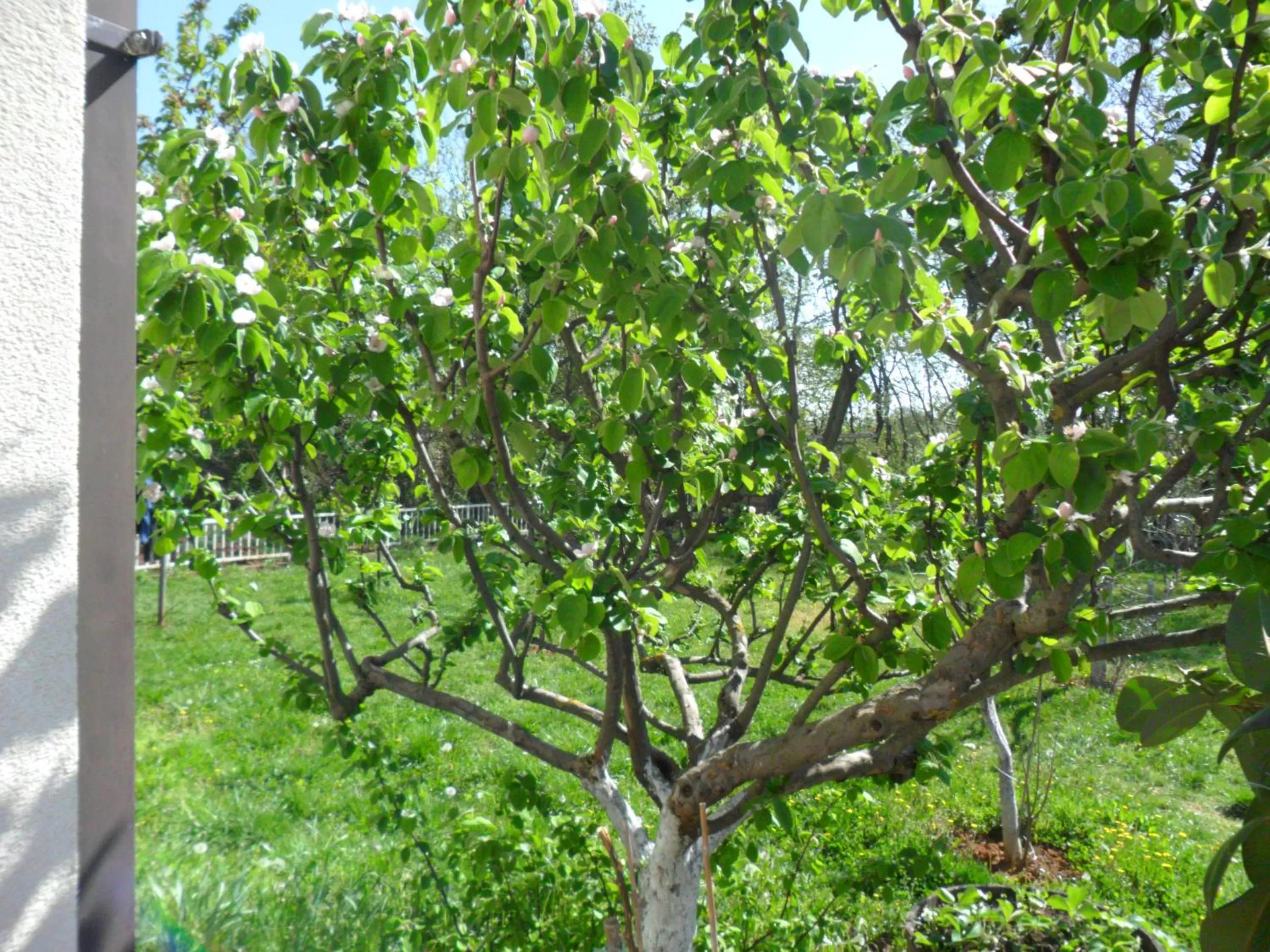 Sobe u kucanstvu MBM