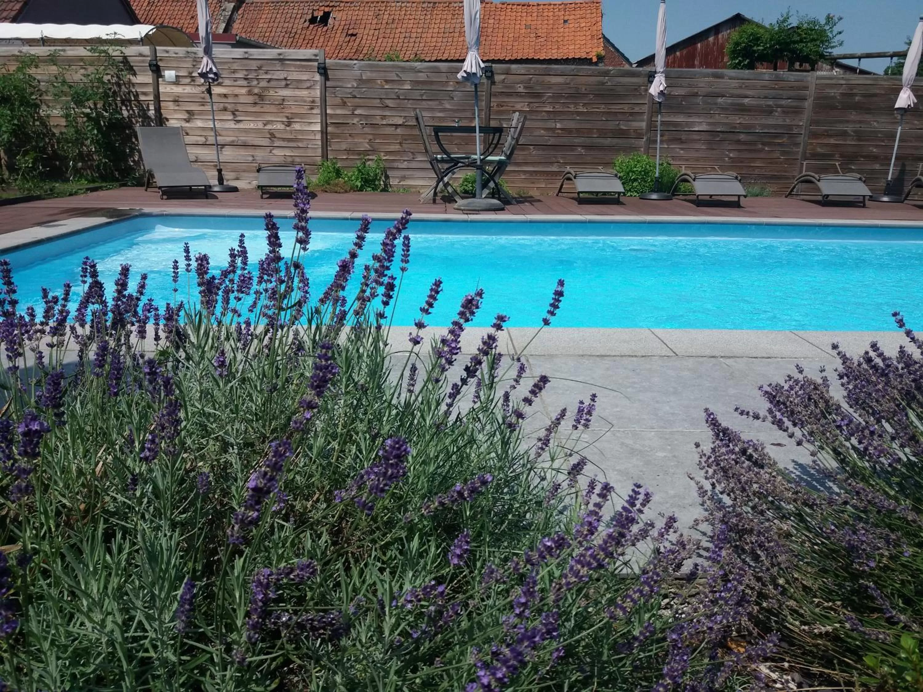 chambres d hotes ,hotel ,Secret d'une Nuit a vicq prės de onnaing,avec piscine