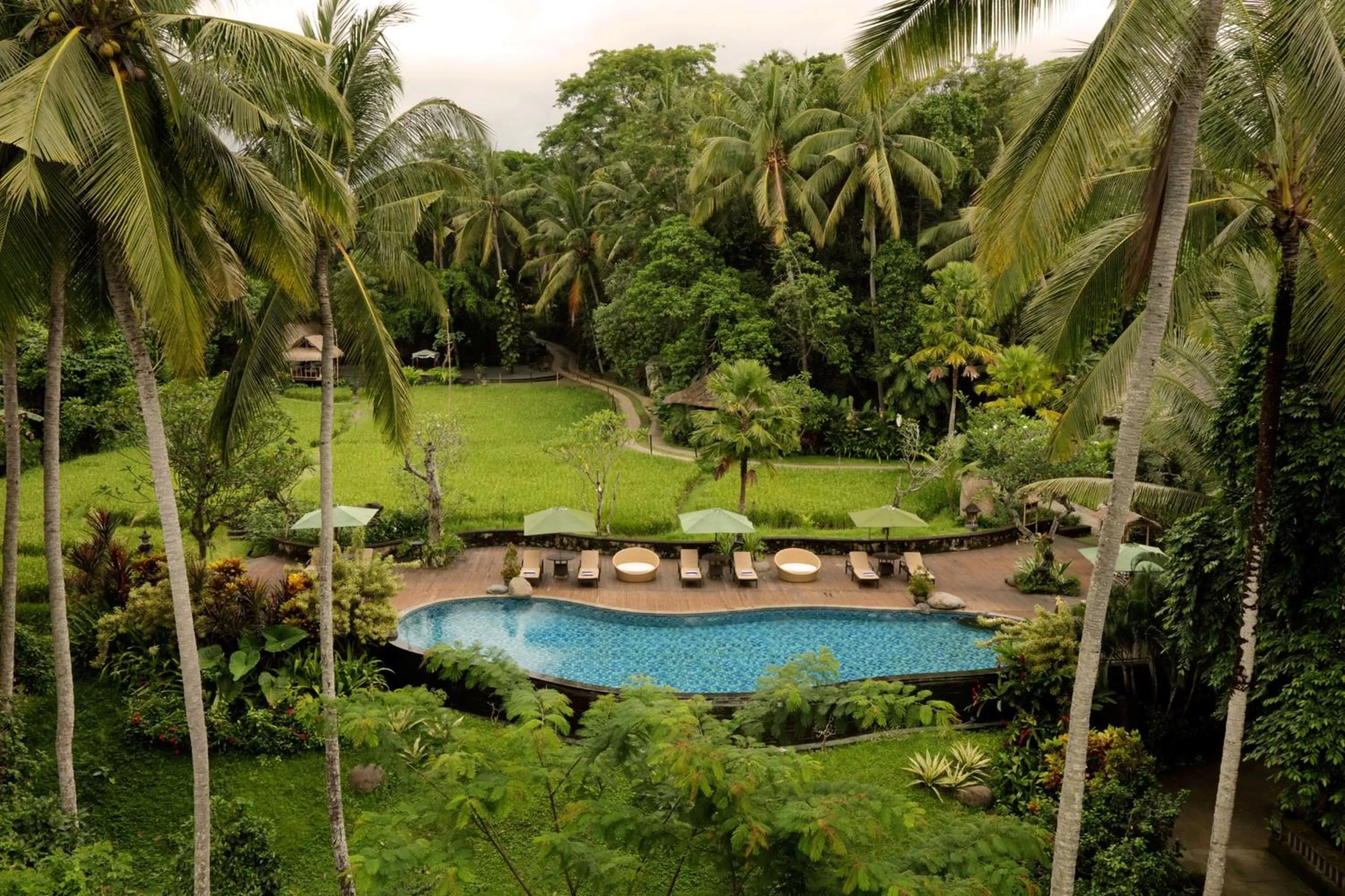 Swimming pool in Plataran Ubud Hotel & Spa - CHSE Certified