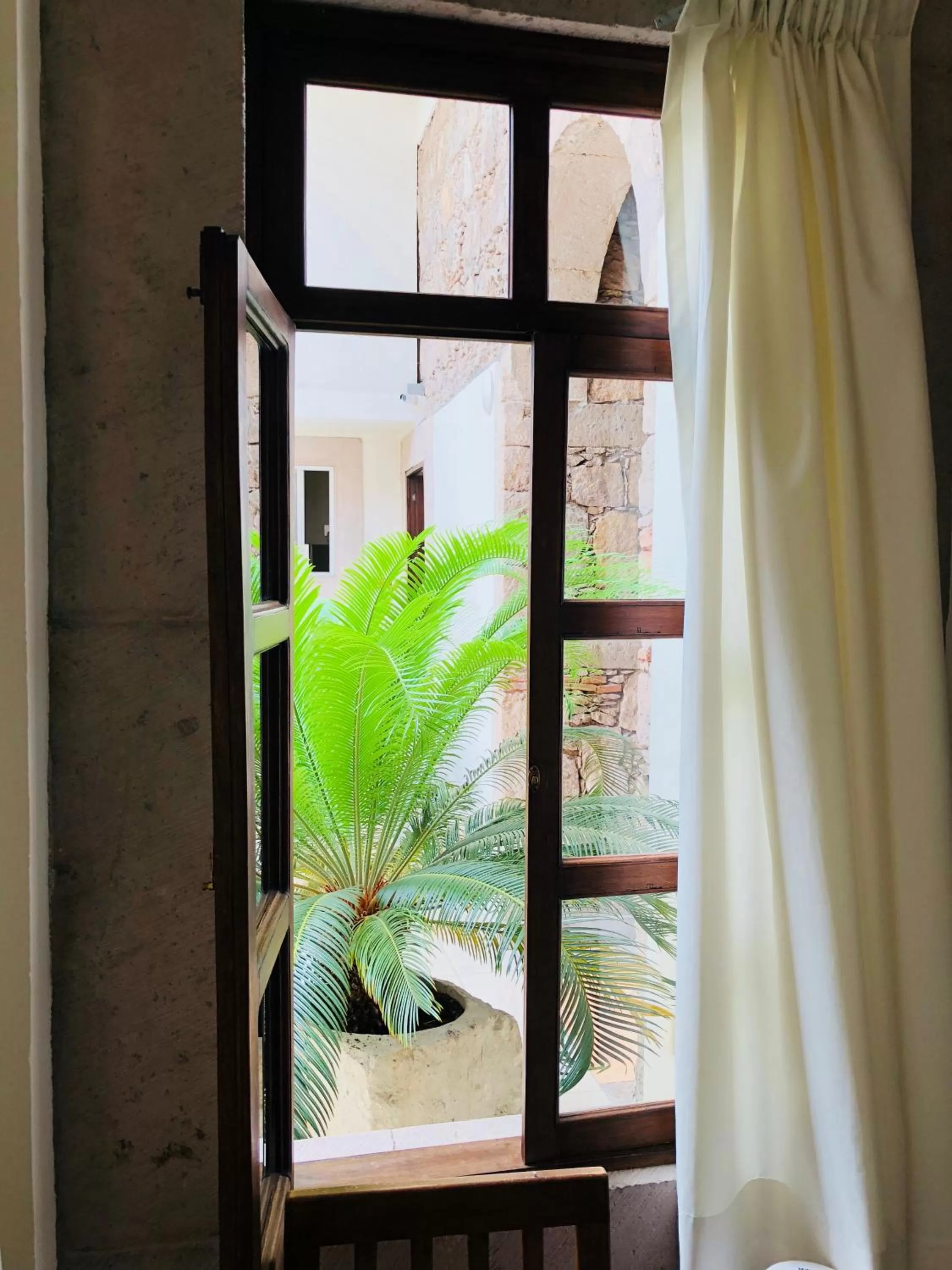 Garden view in Hotel Expres By Hosting House