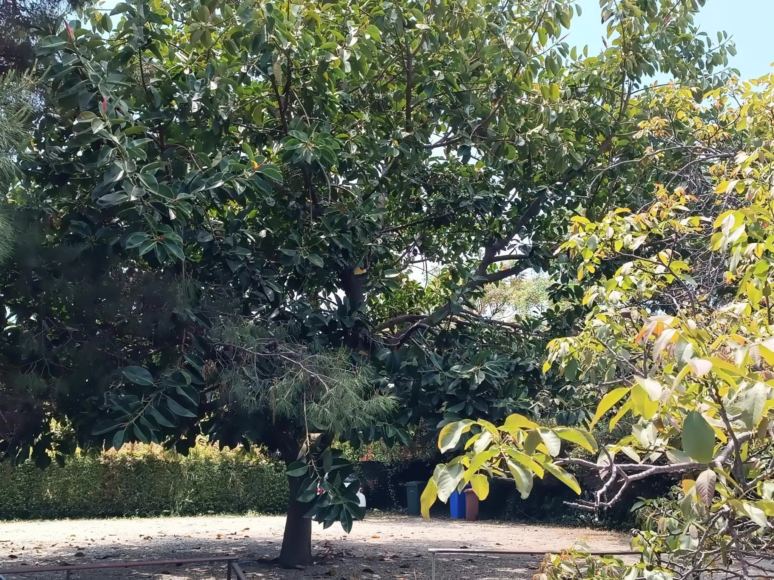 Parking in B&B Villa Lidia