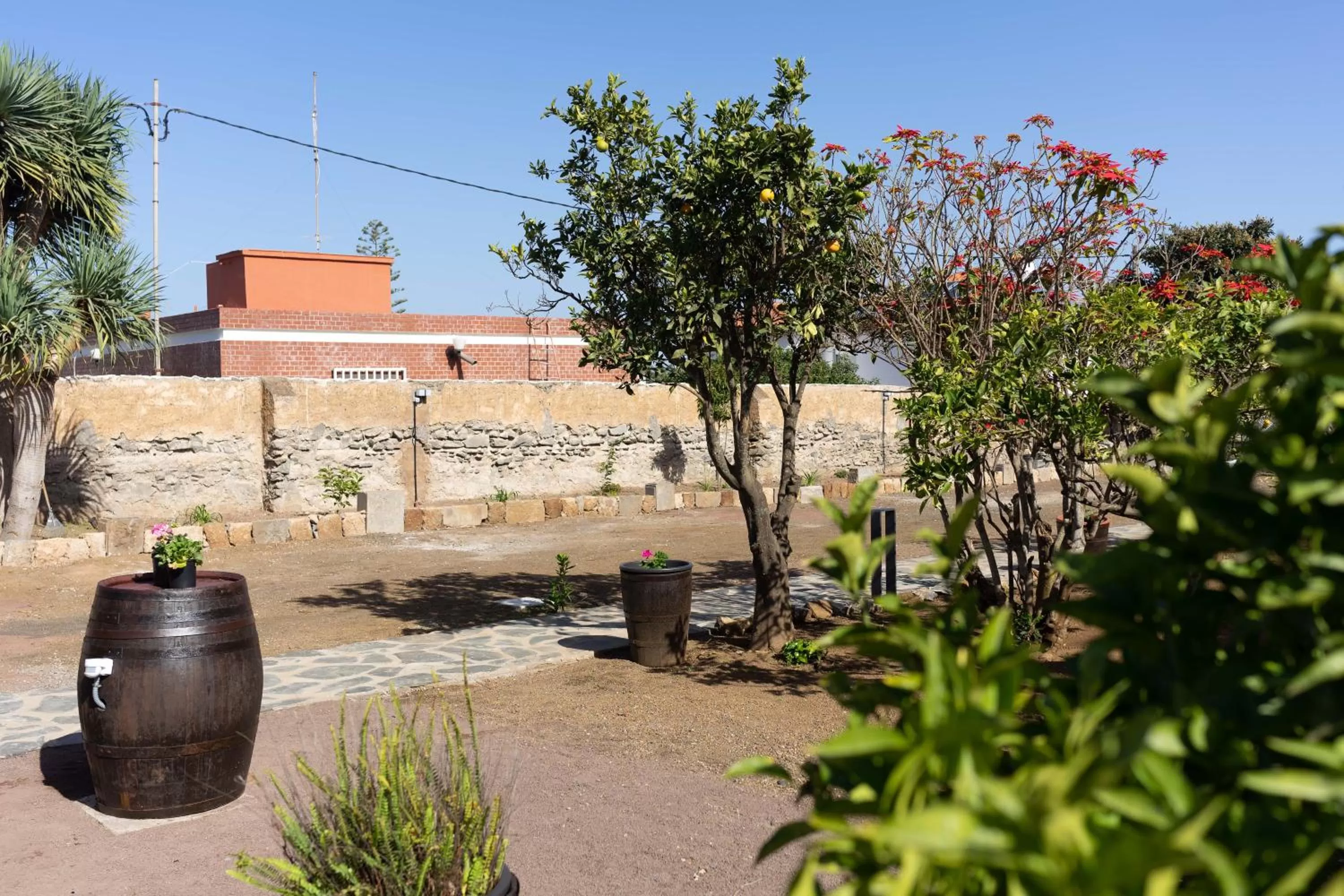 Garden in Albor Suites