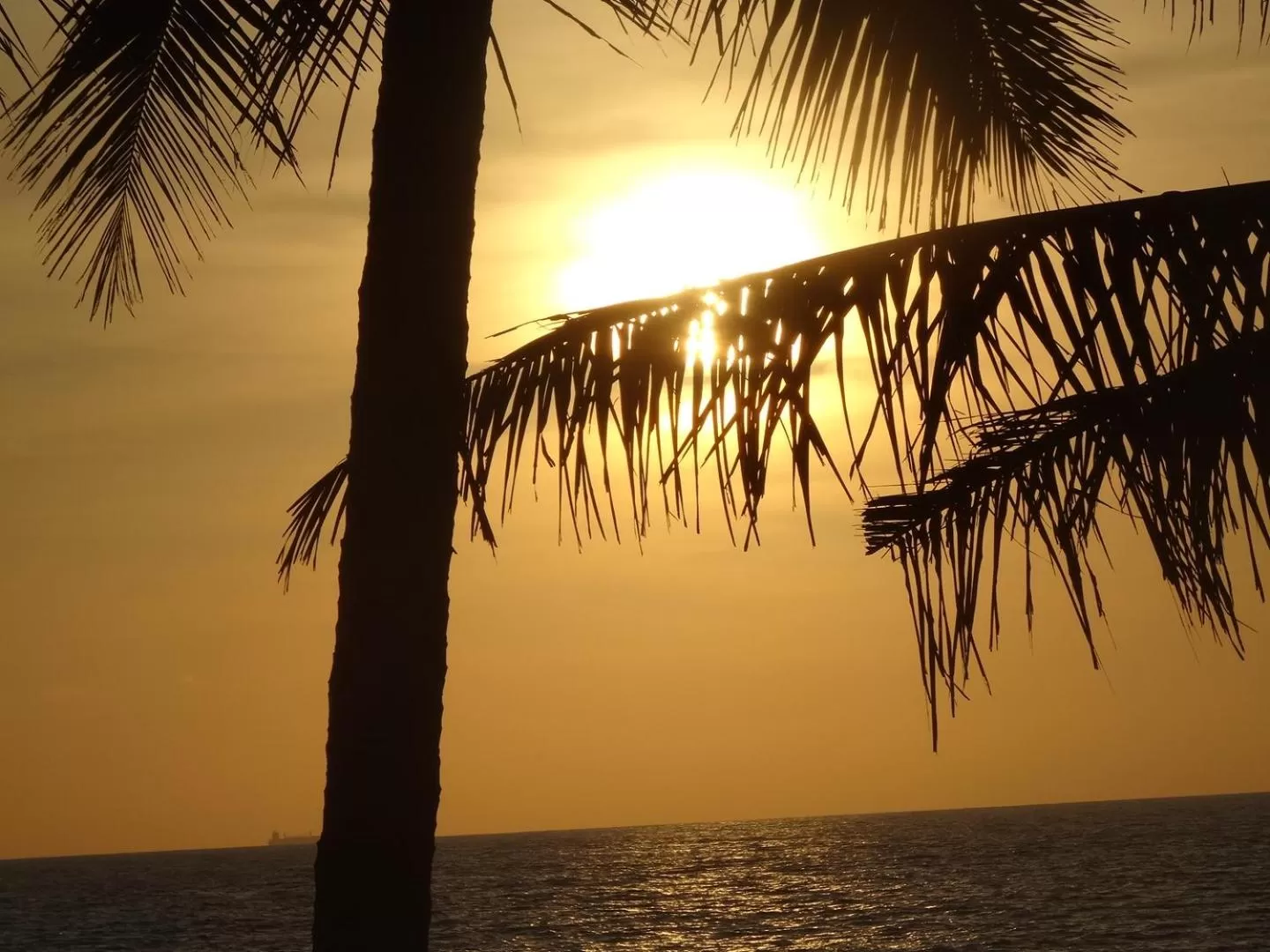 Sunset in Amssler Beach Stay