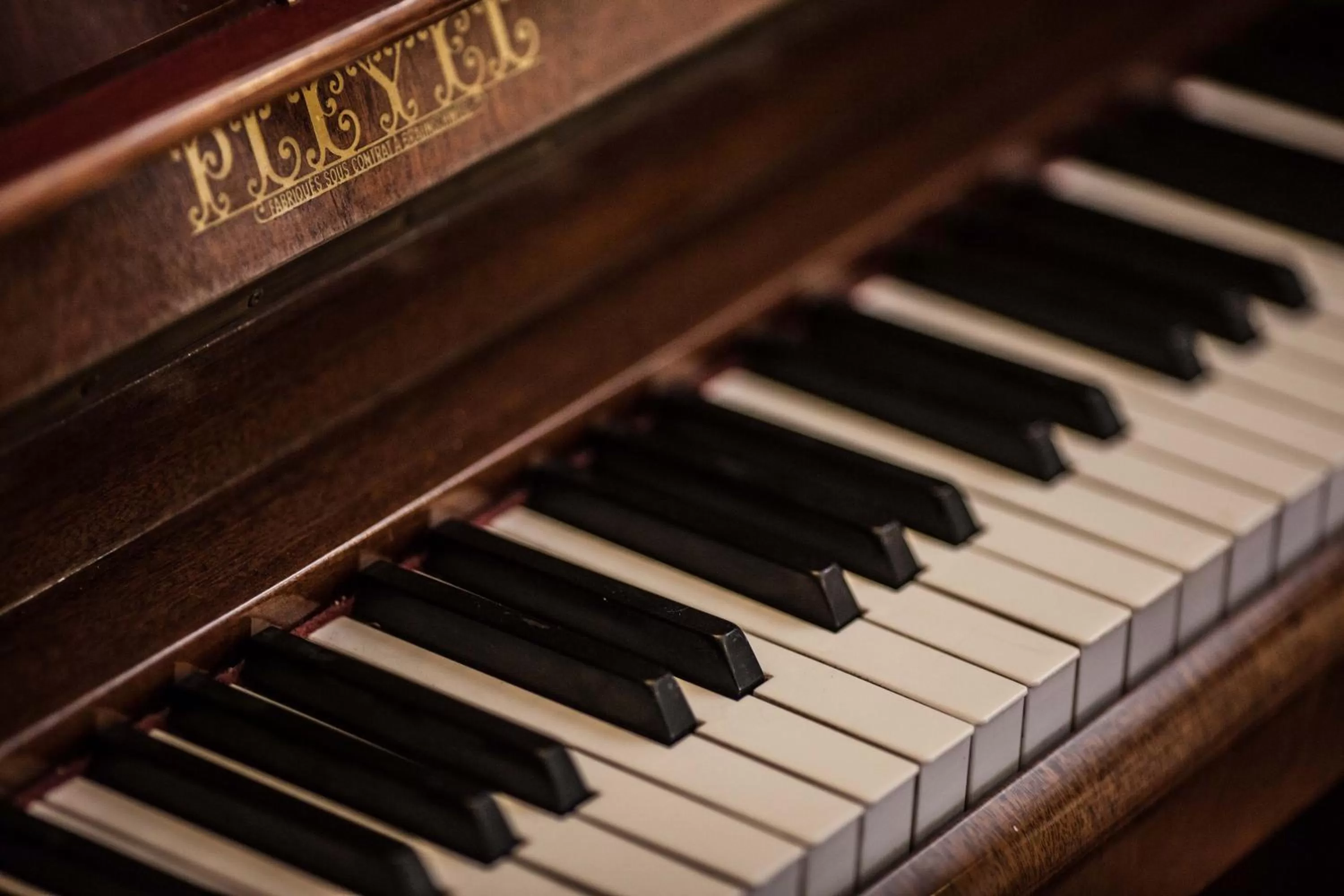 Decorative detail in Hôtel Henri IV