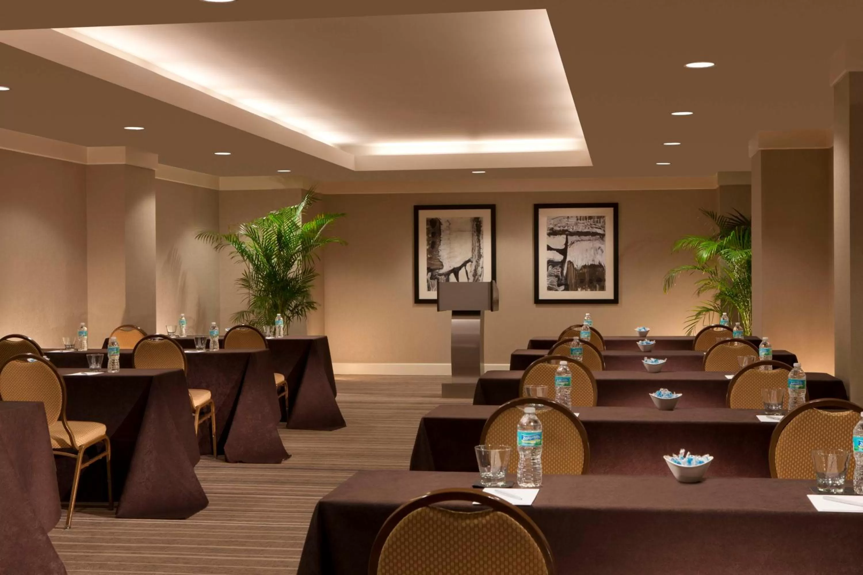 Meeting/conference room in Hilton Orlando Lake Buena Vista - Disney Springs™ Area