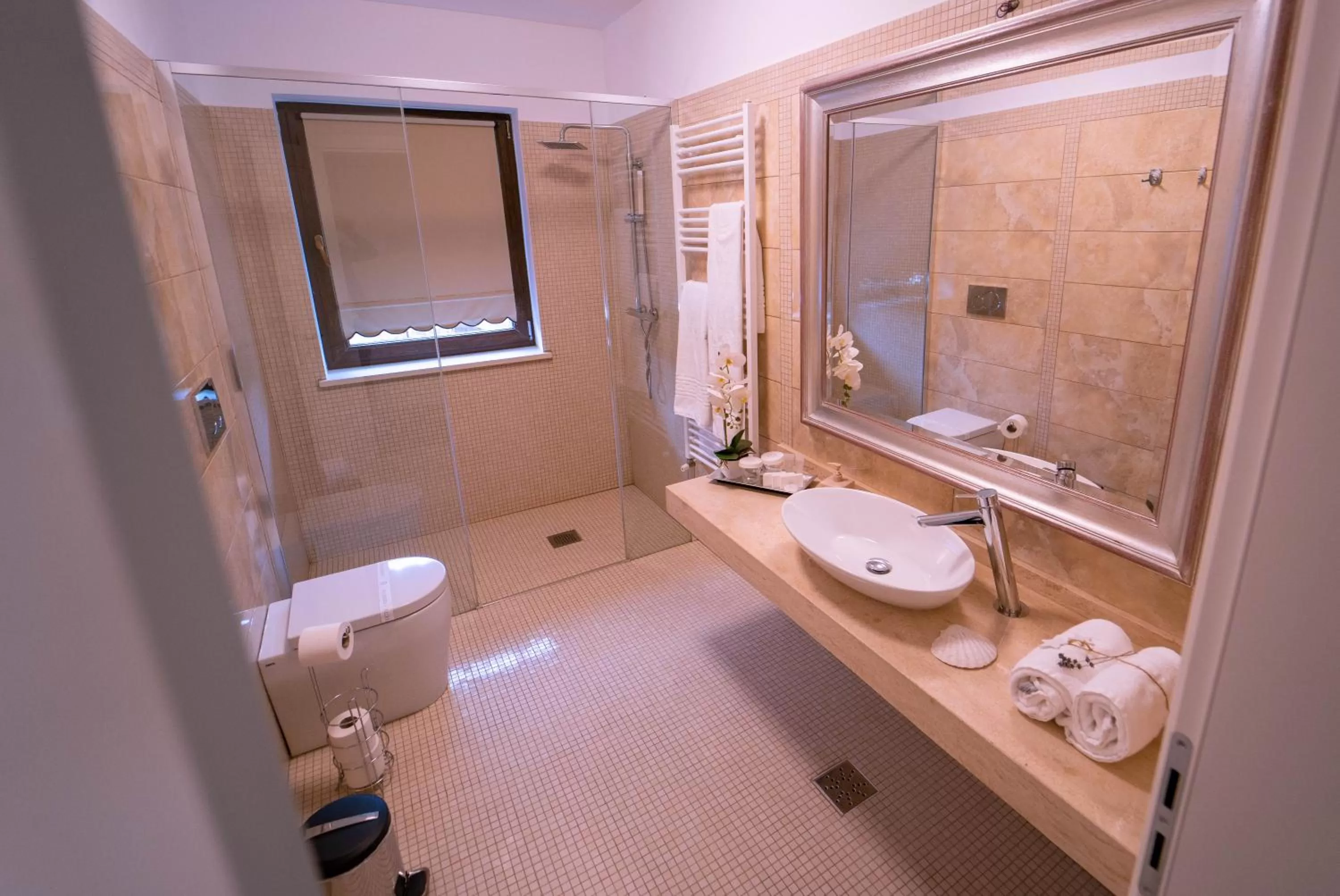 Bathroom in Gradinile Romane