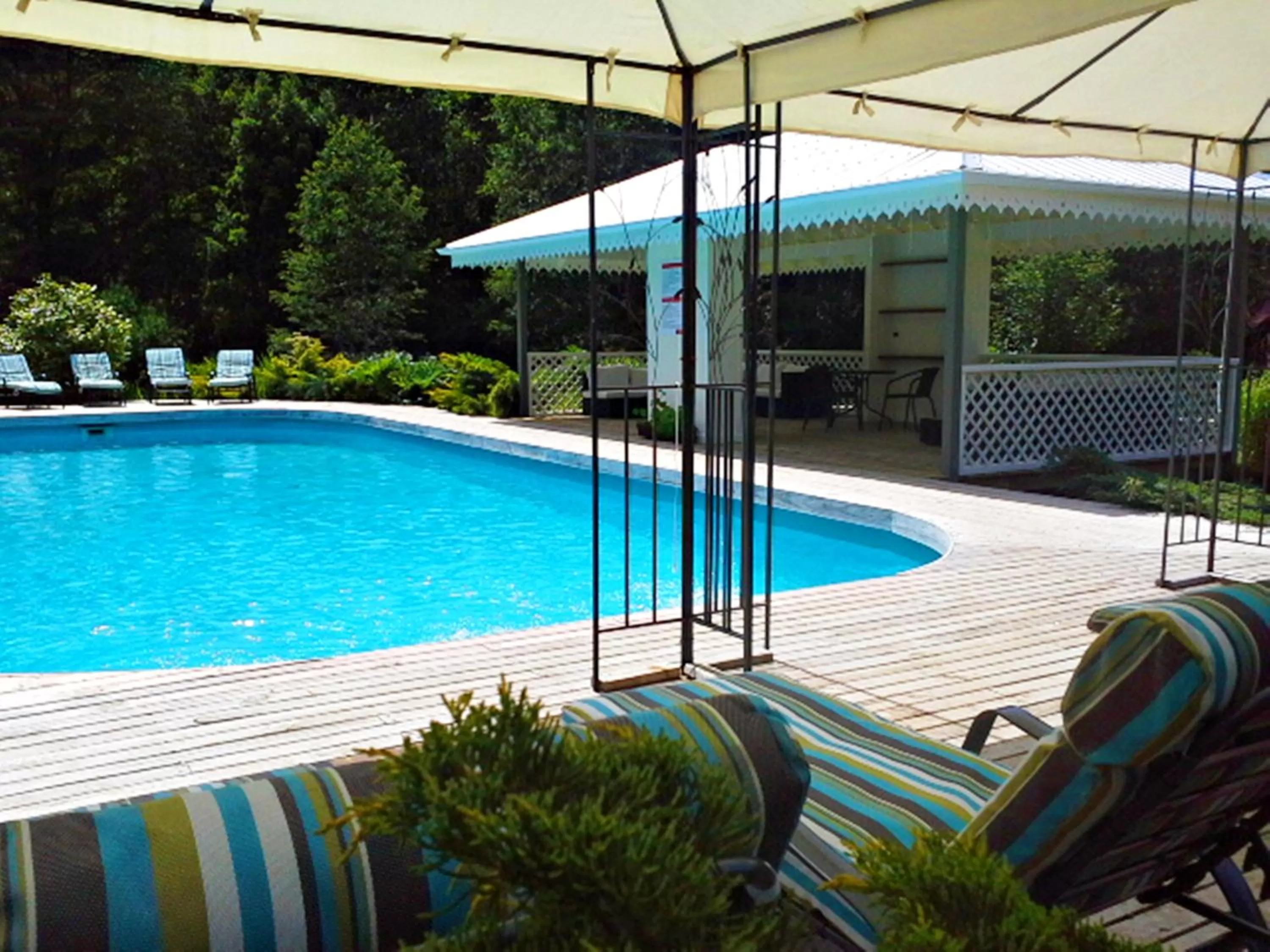 Patio, Swimming Pool in Hotel Salto del Carileufu