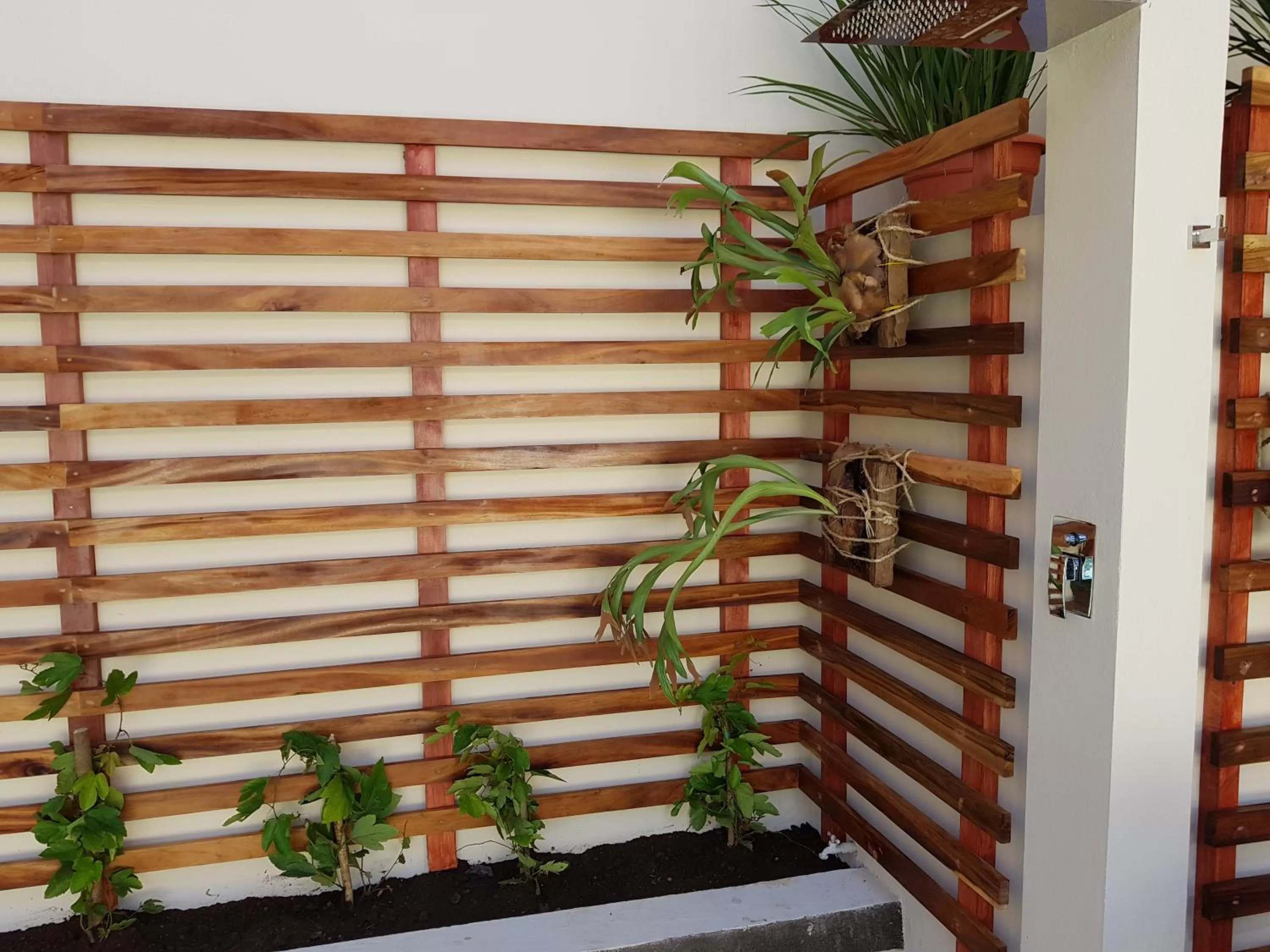 Property building in Hotel la Perla Leon