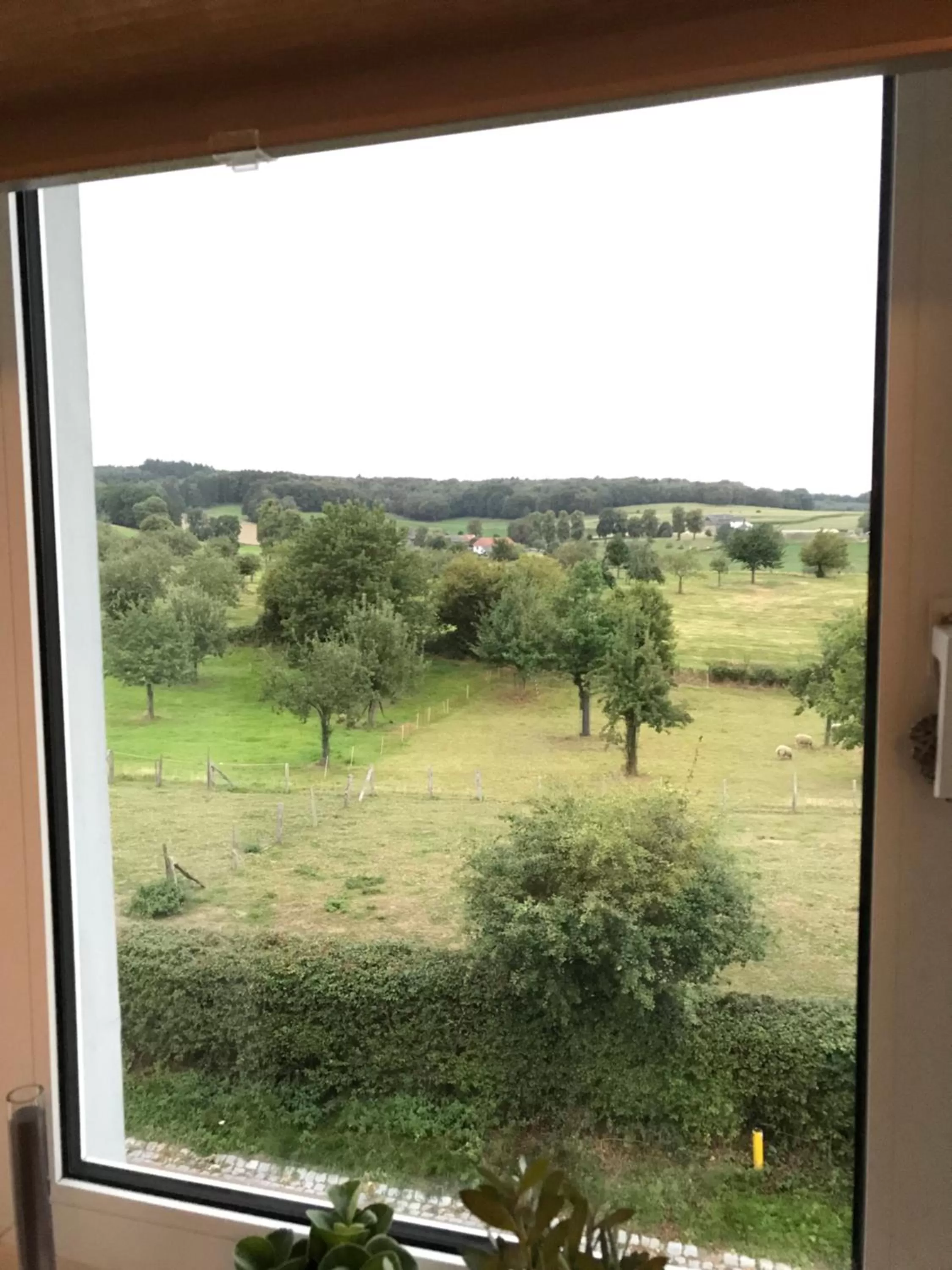 Garden View in B&B Holset70