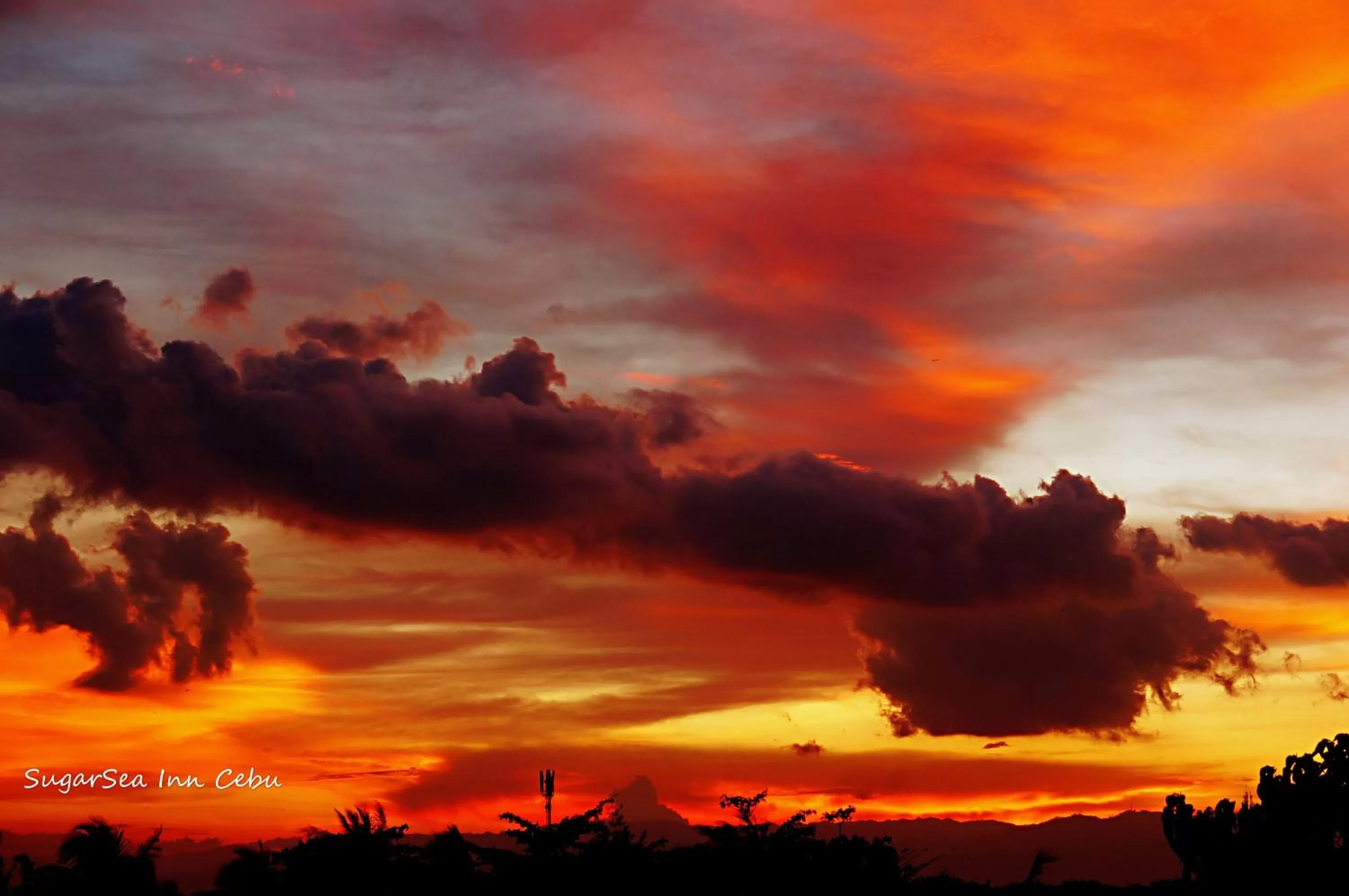 Sea view in Sugarsea Inn & Dive shop