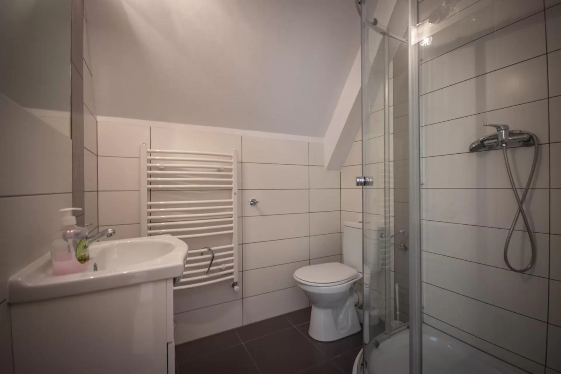 Bathroom in Podhalanski Dworek z Jacuzzi