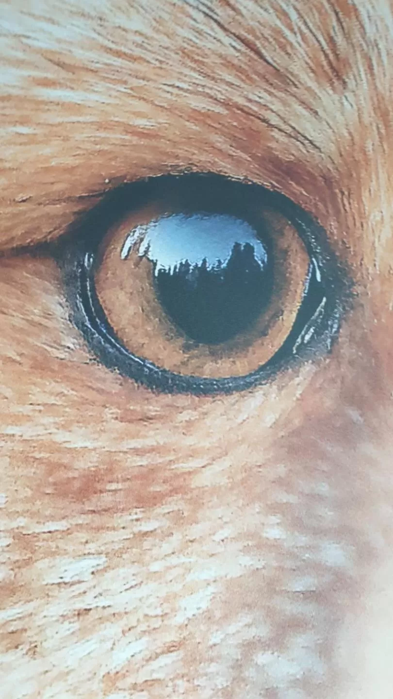 Decorative detail in Les Loges Du Parc