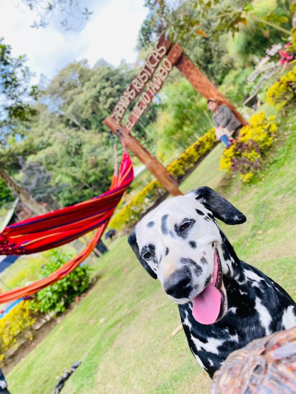 Other Animals in Cabañas Rústicas El Viejo Tambo By Rotamundos