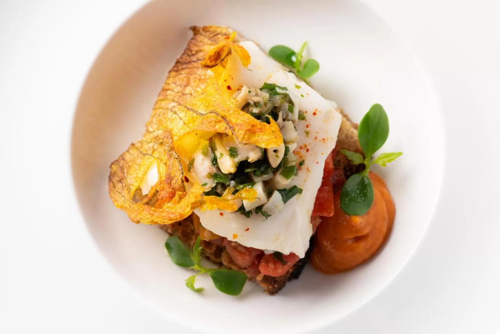 Food and drinks in Domaine la Pierre Blanche