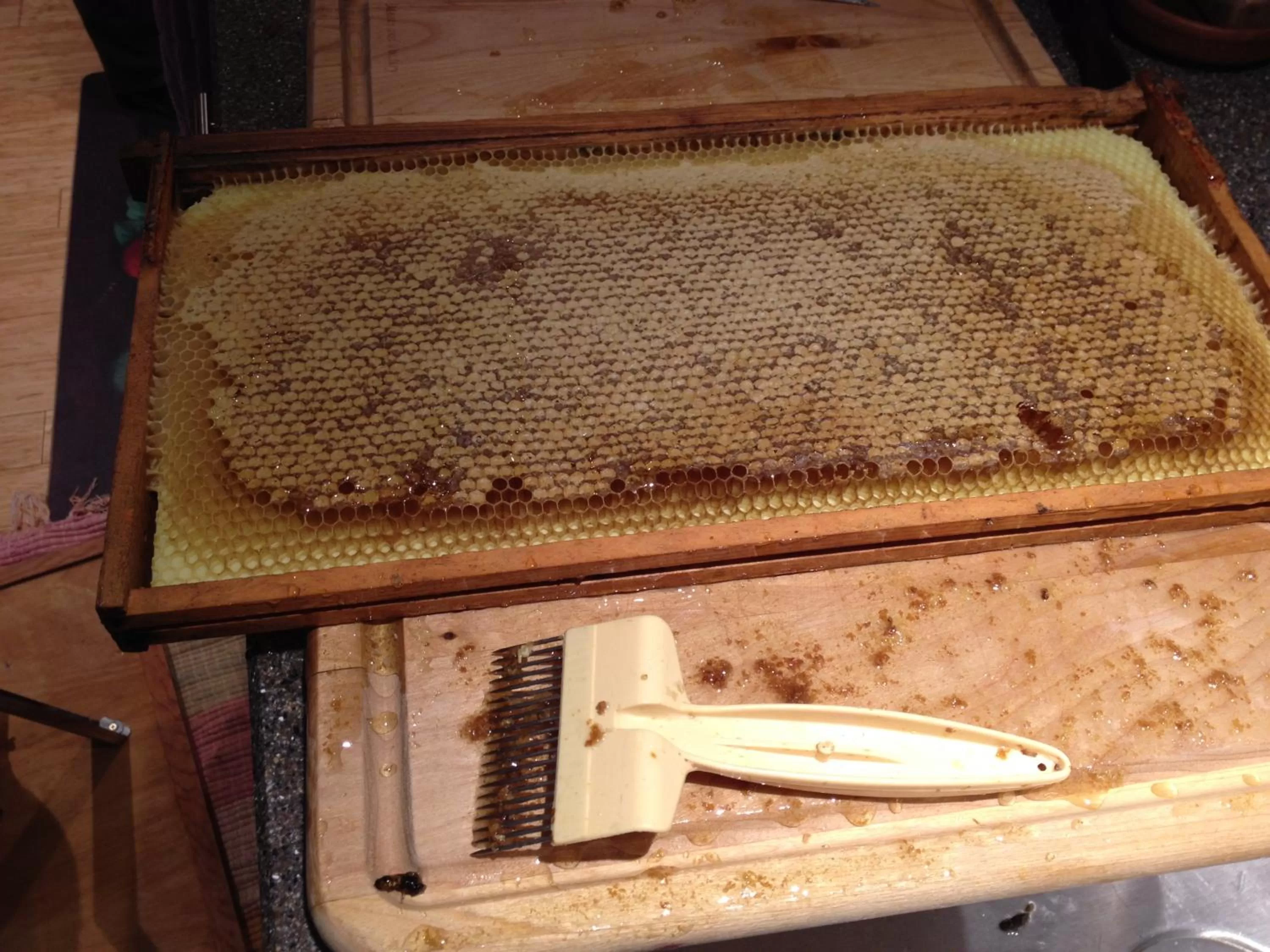 Activities in Gardenside Bed and Breakfast