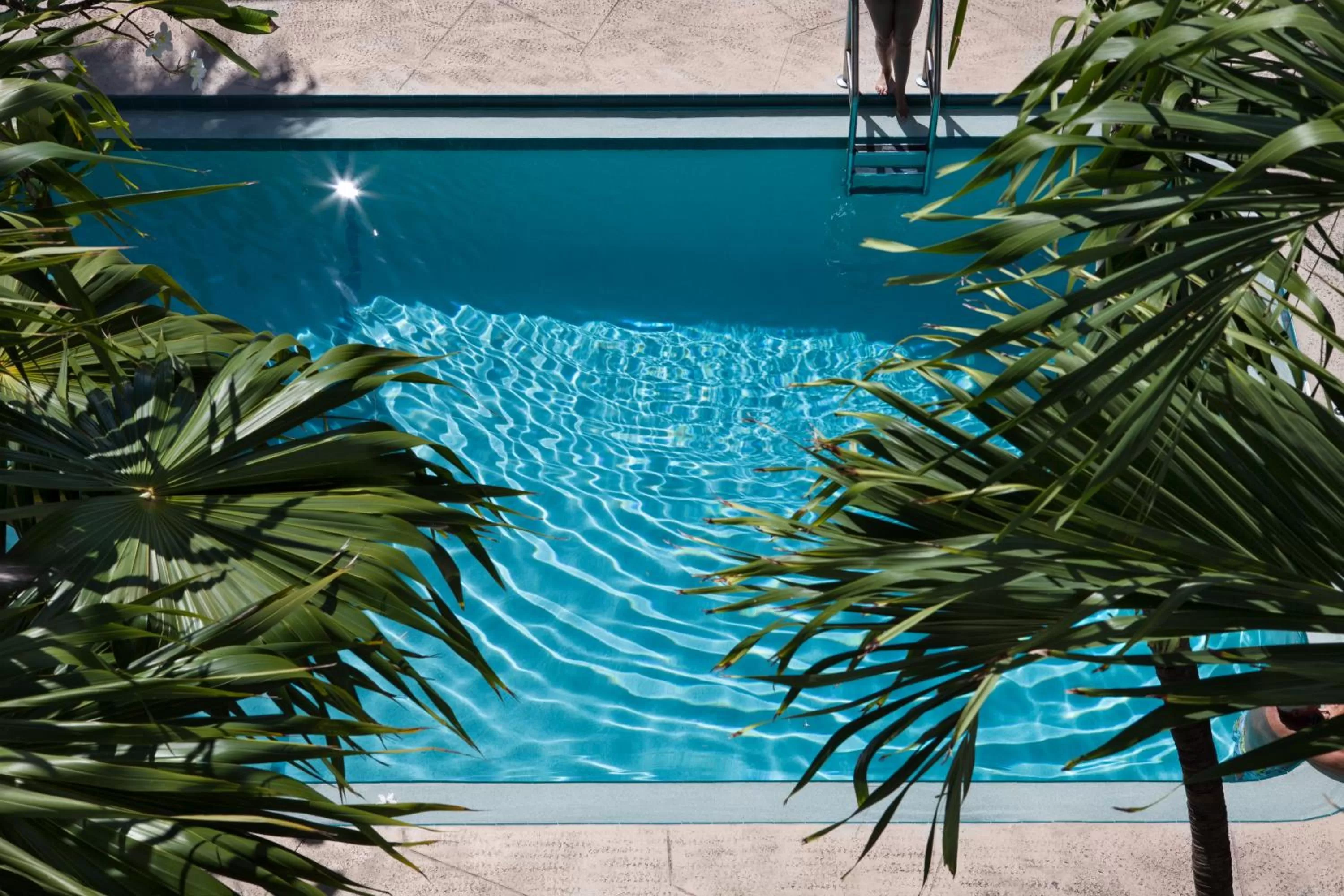 Swimming pool in Southernmost Inn Adult Exclusive