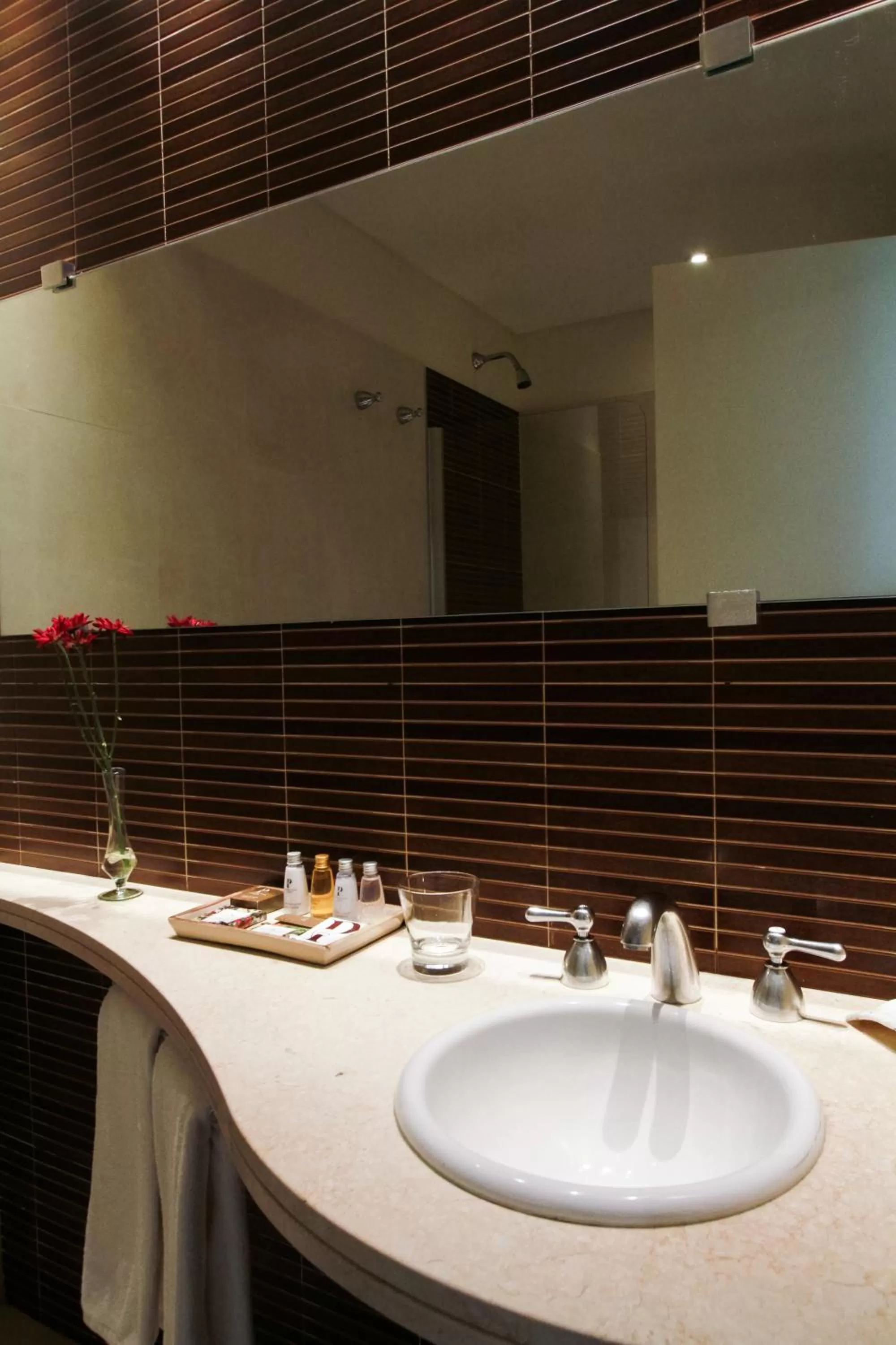 Classic Double or Twin Room with River Views in Panoramic Grand - Iguazú