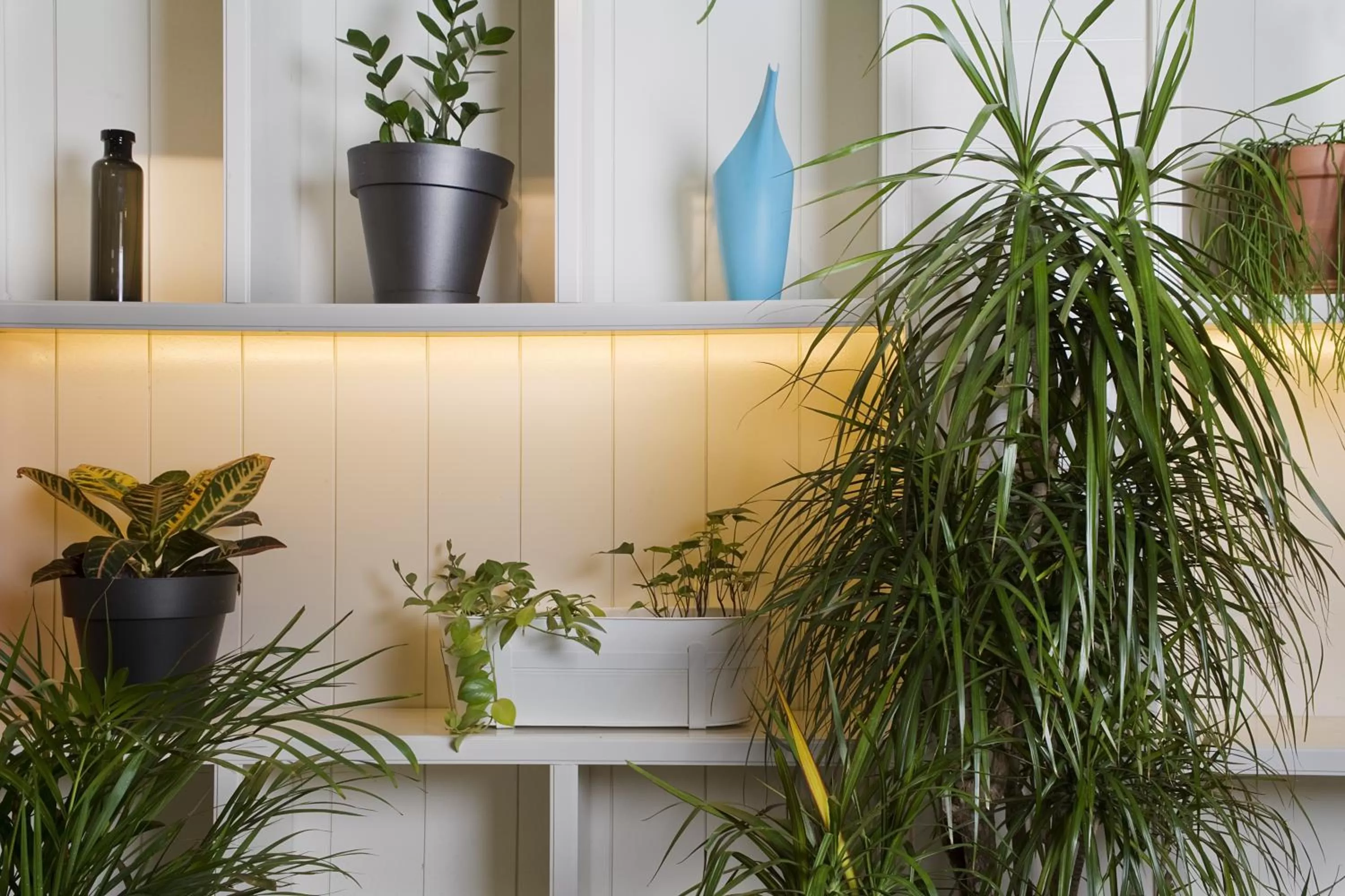 Lobby or reception in Praktik Garden