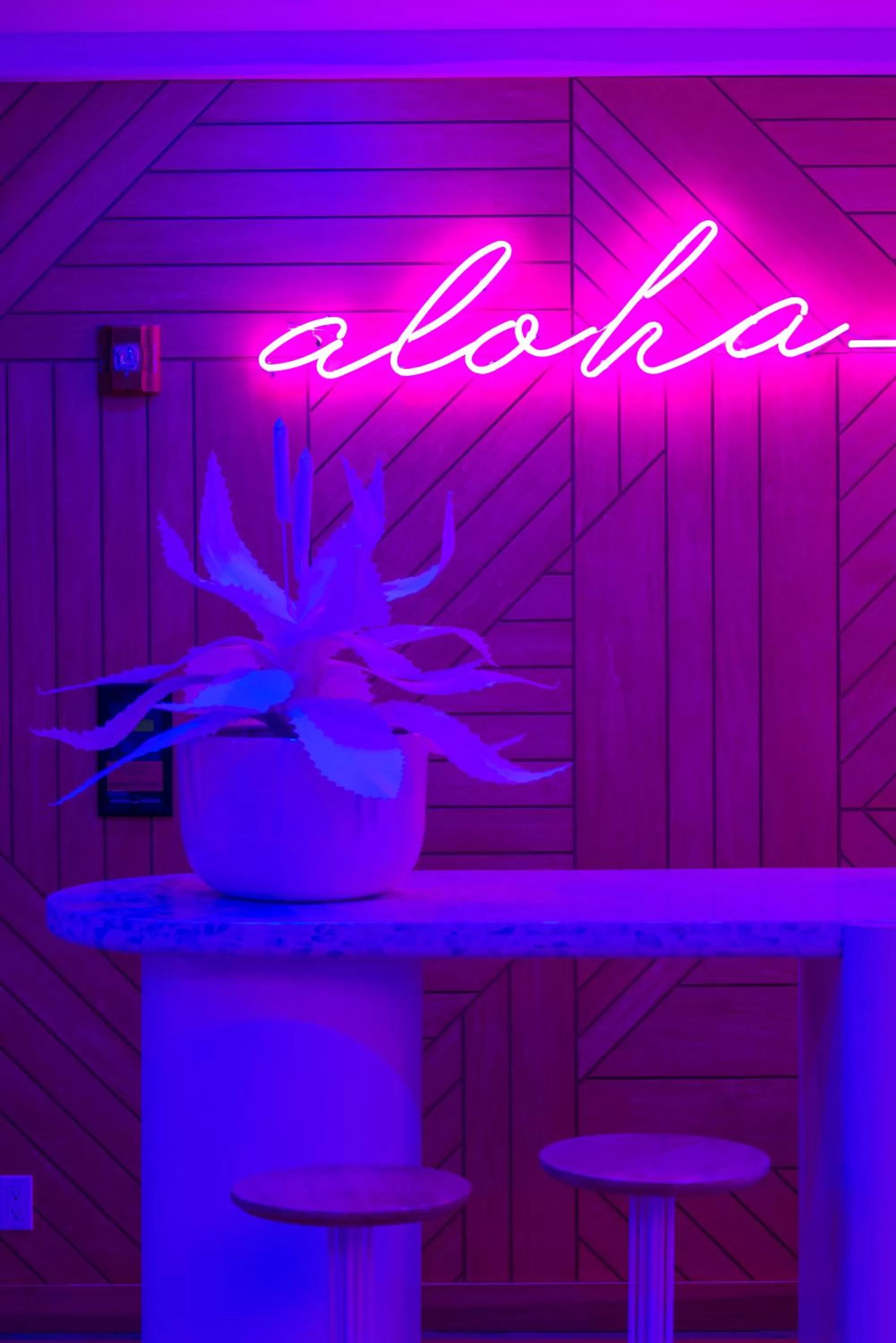 Property logo or sign in Shoreline Hotel Waikiki