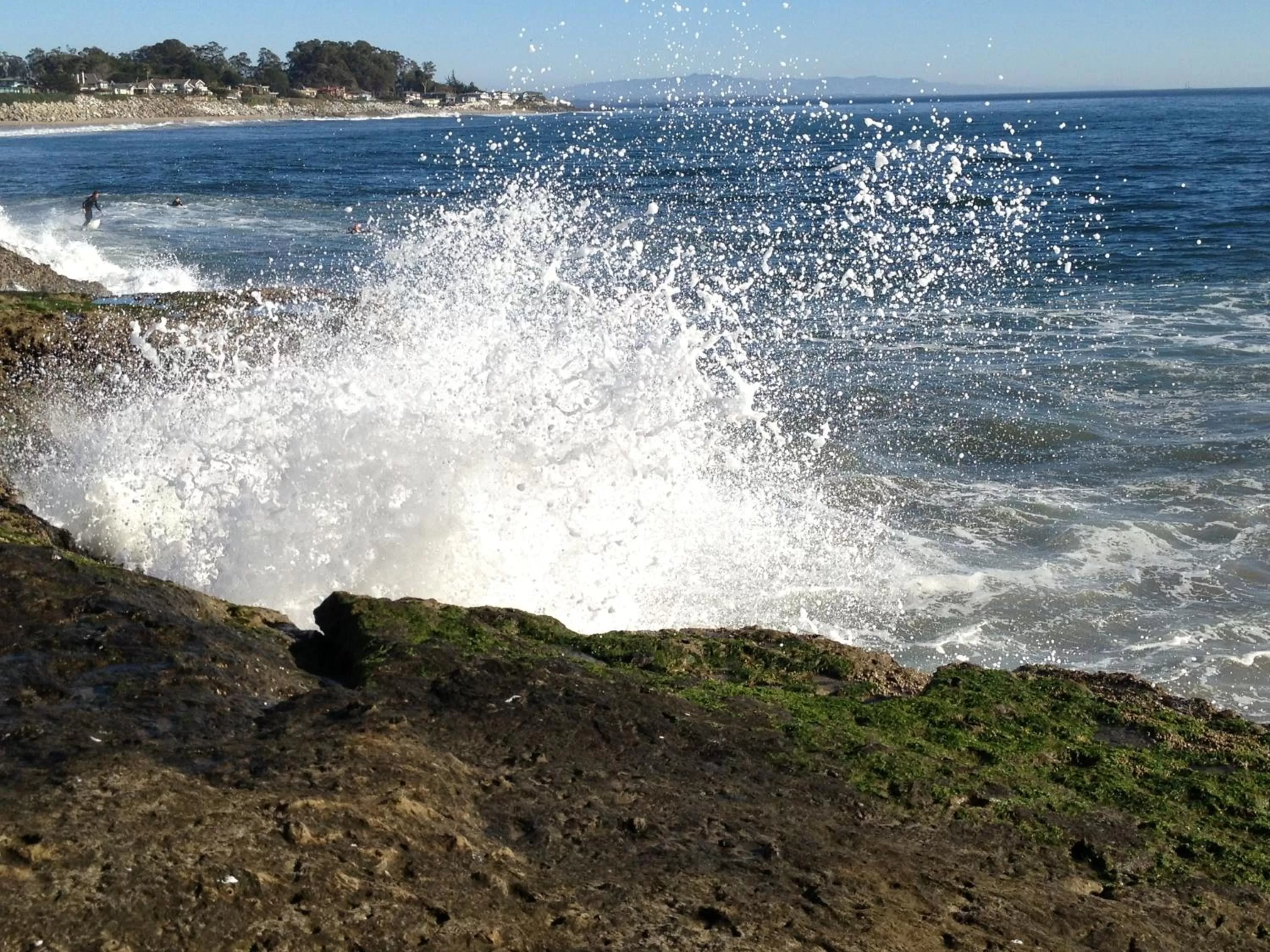 Other in Ocean Echo Inn & Beach Cottages