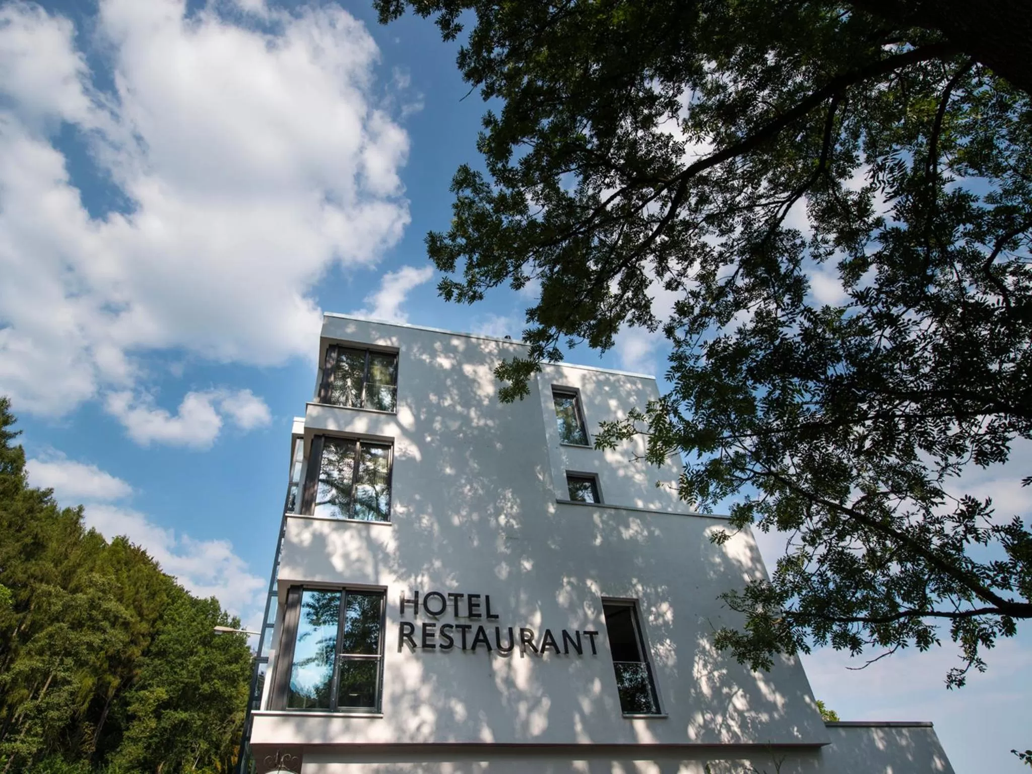 Design-Konferenzhotel & Restaurant Steinernes Schweinchen